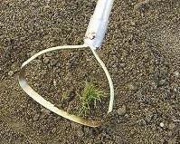 QHoeHoopWeeder.-2.jpg