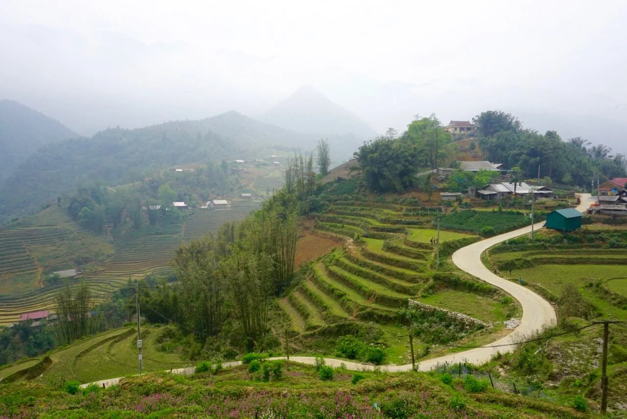 Sapa_Rice_Paddies_preview.jpeg