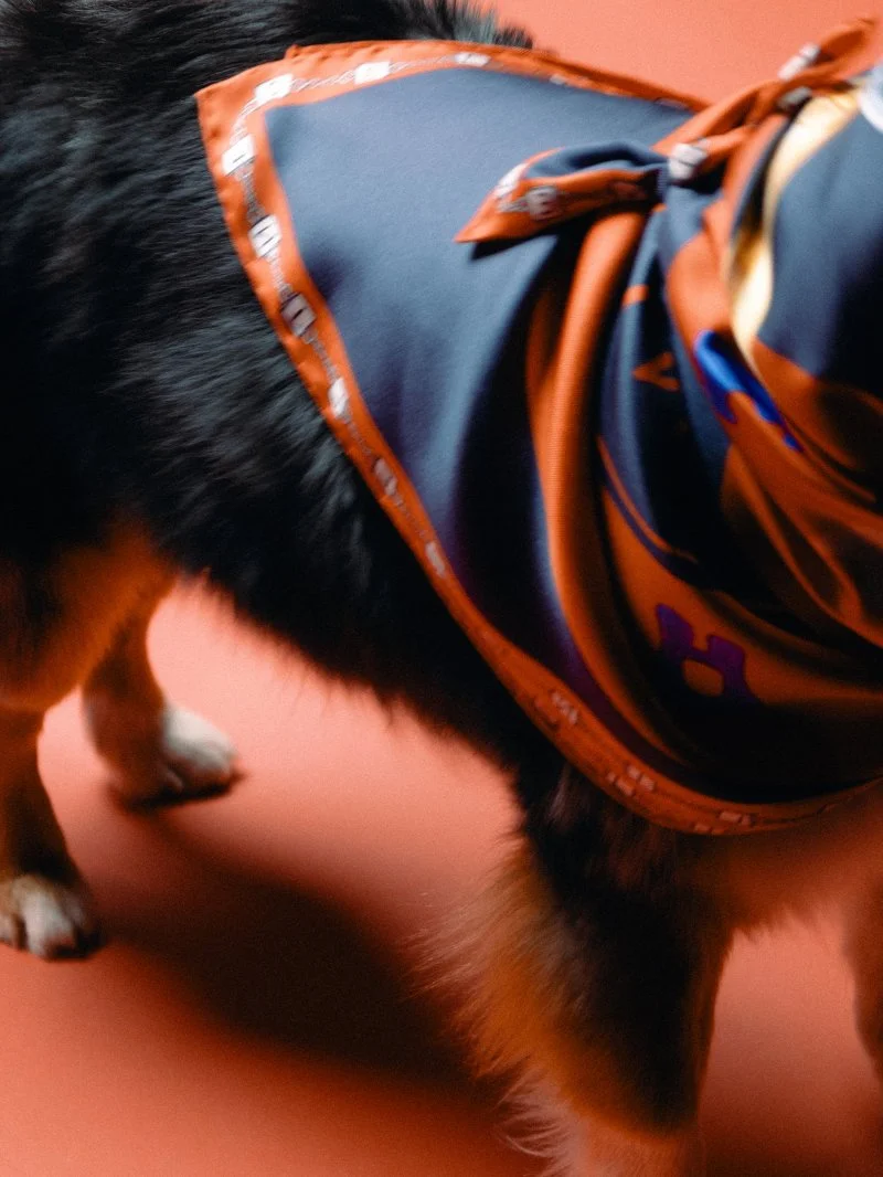 CELINE_IP_SILK_26_3X4_2400PX_38.jpg