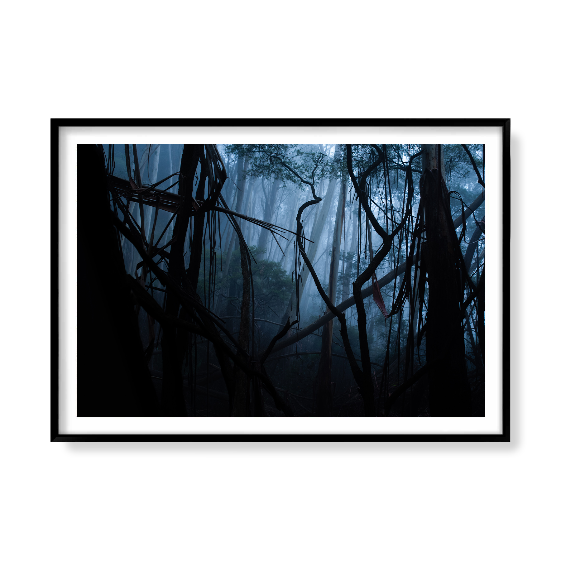 Misty Mountains black_.png