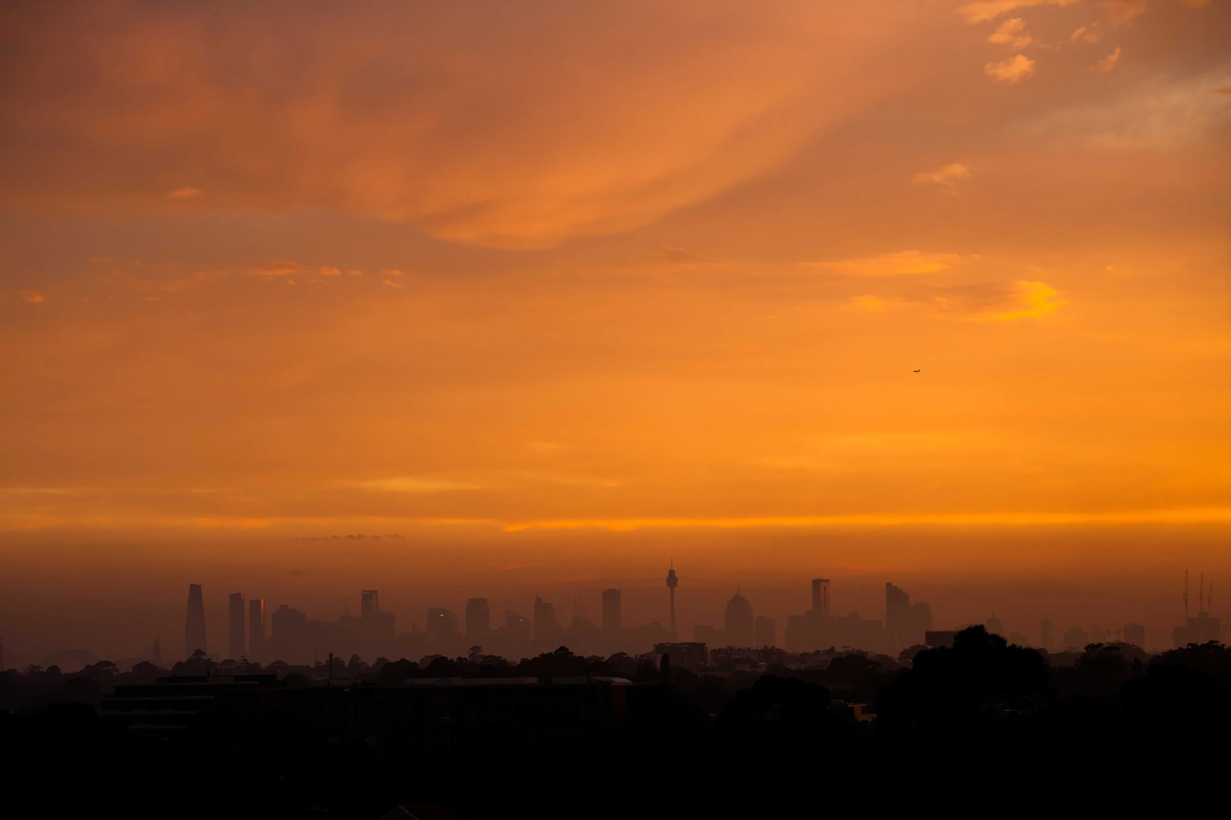 A7R08730.jpg