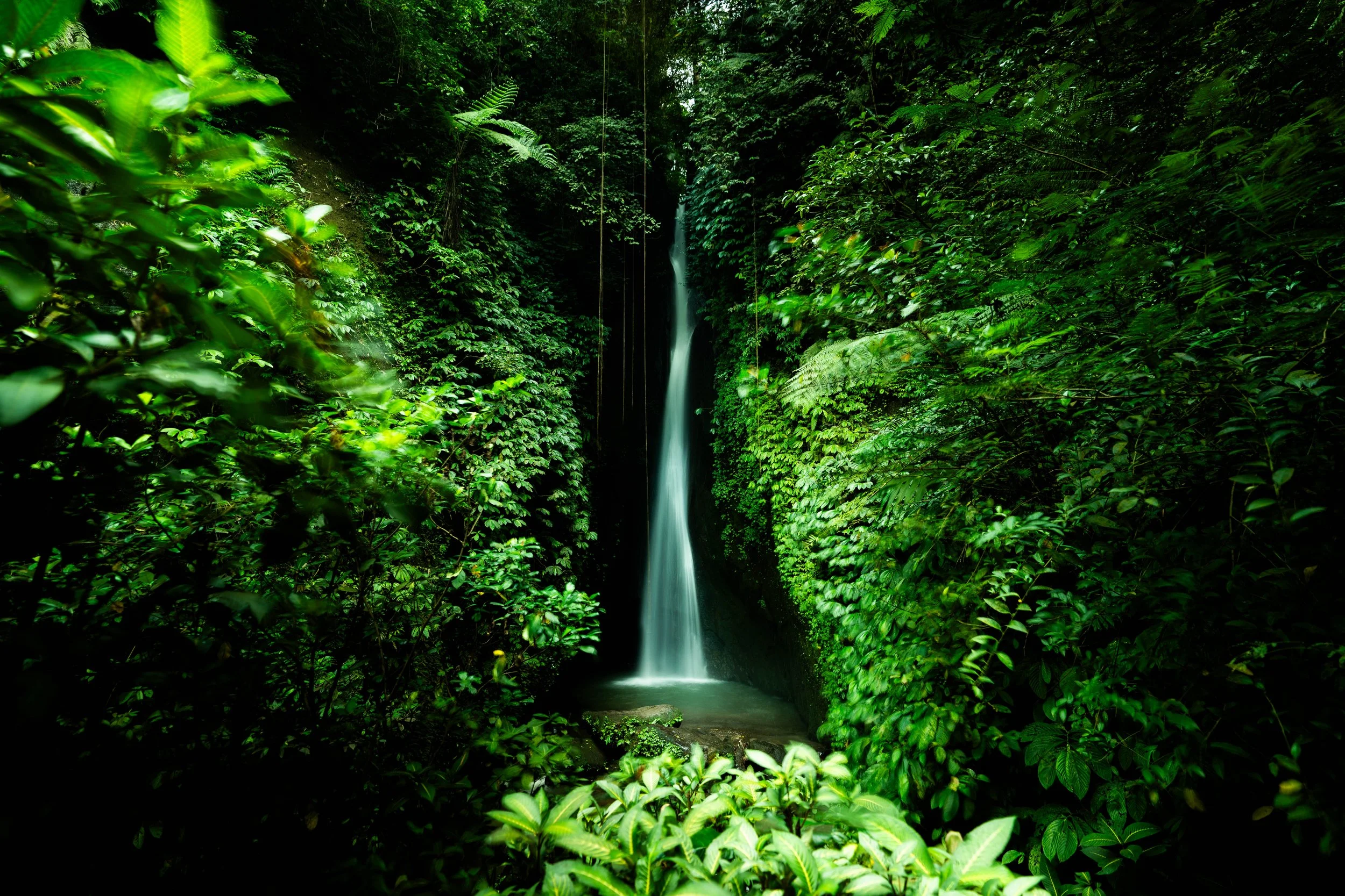 A7402025-HDR.jpg