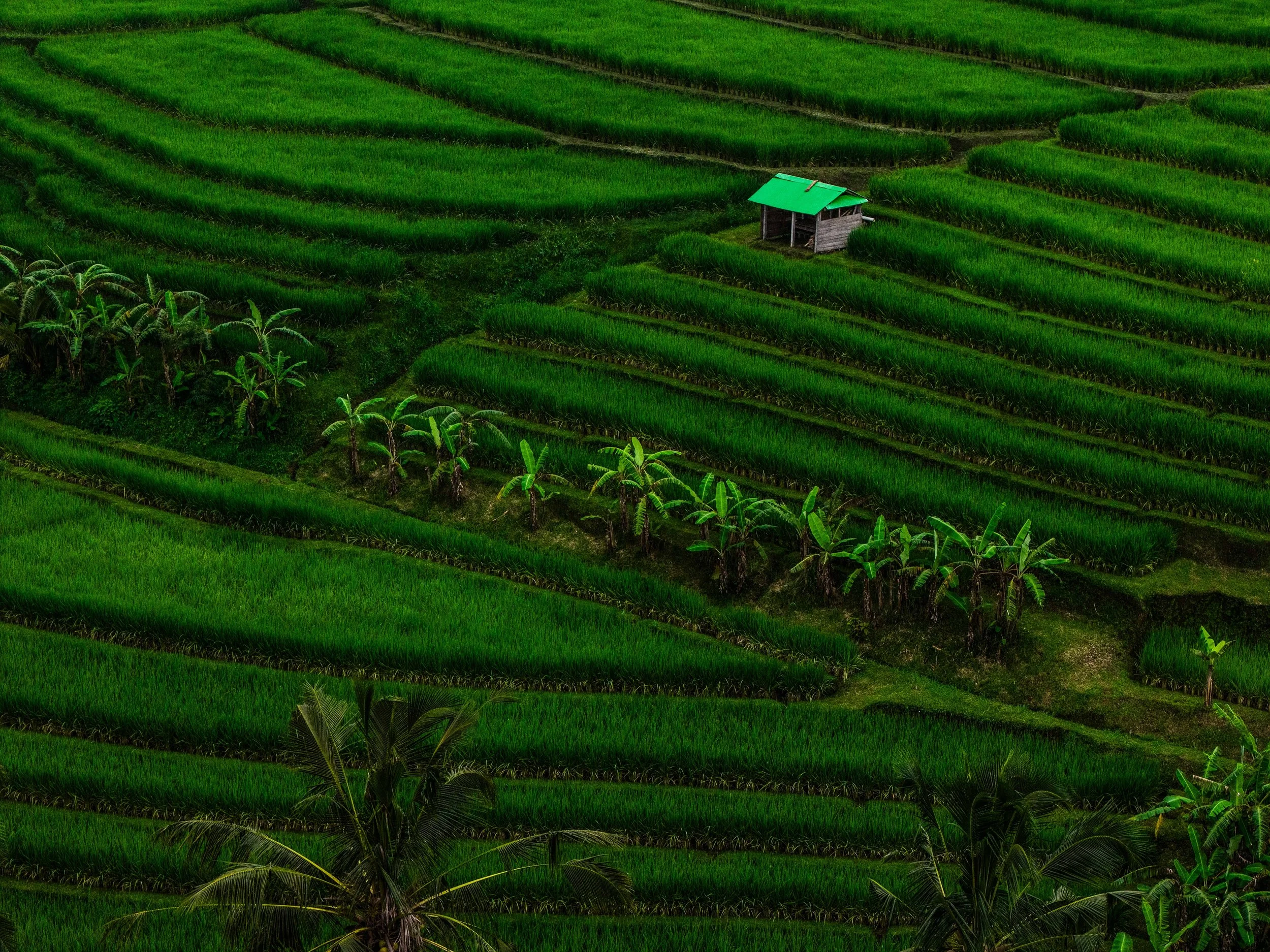 DJI_20260410192720_0943_D.jpg