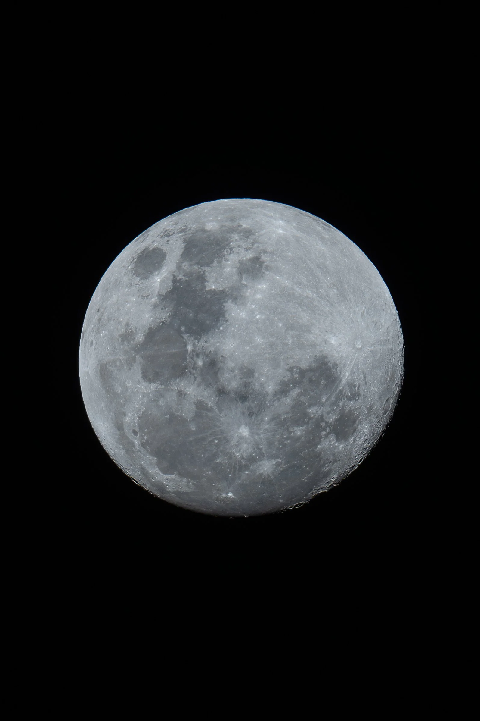 A7402151-Enhanced-NR.jpg