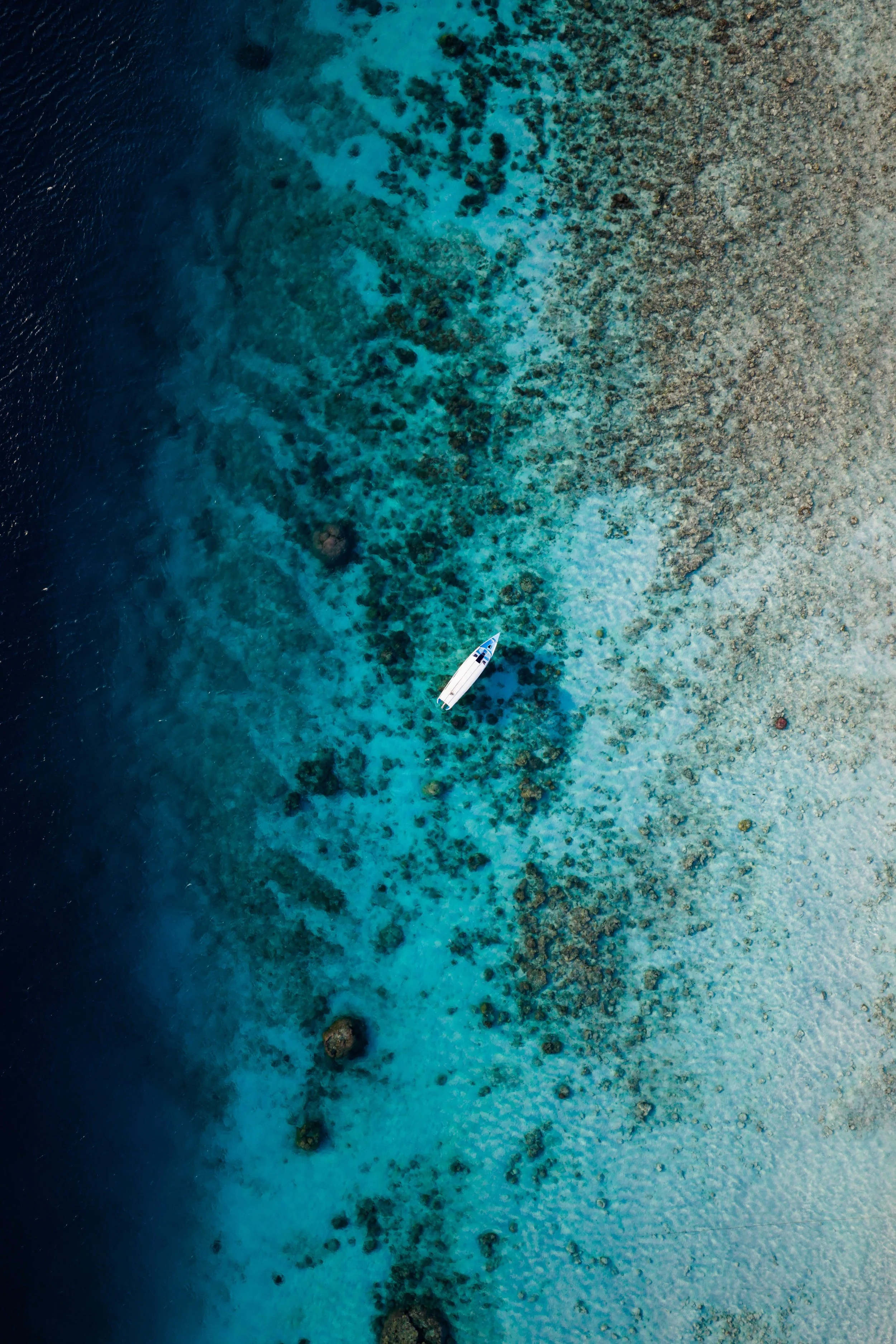 DJI_20260419192321_0589_D.jpg