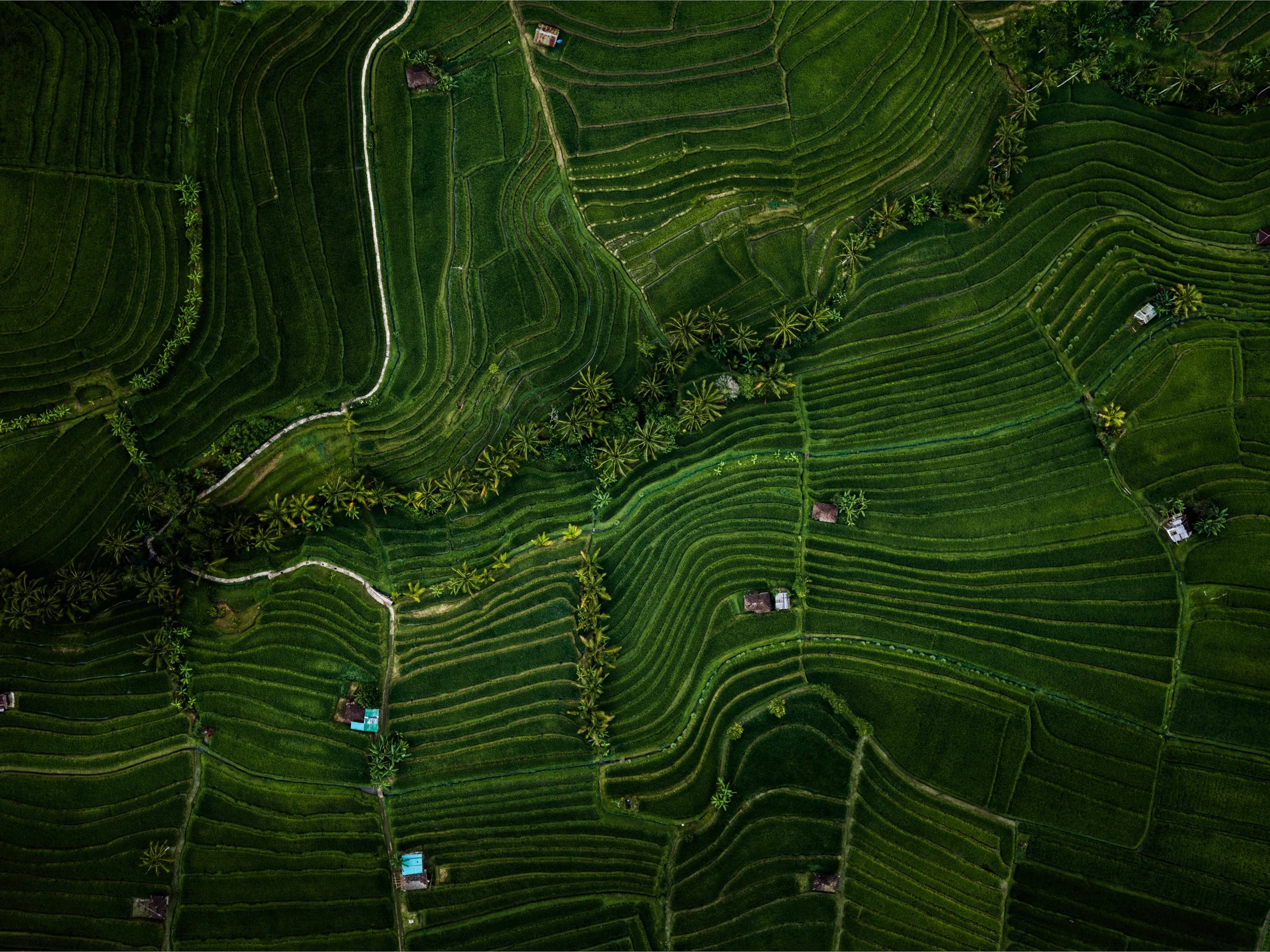 DJI_20260410190015_0858_D-HDR.jpg