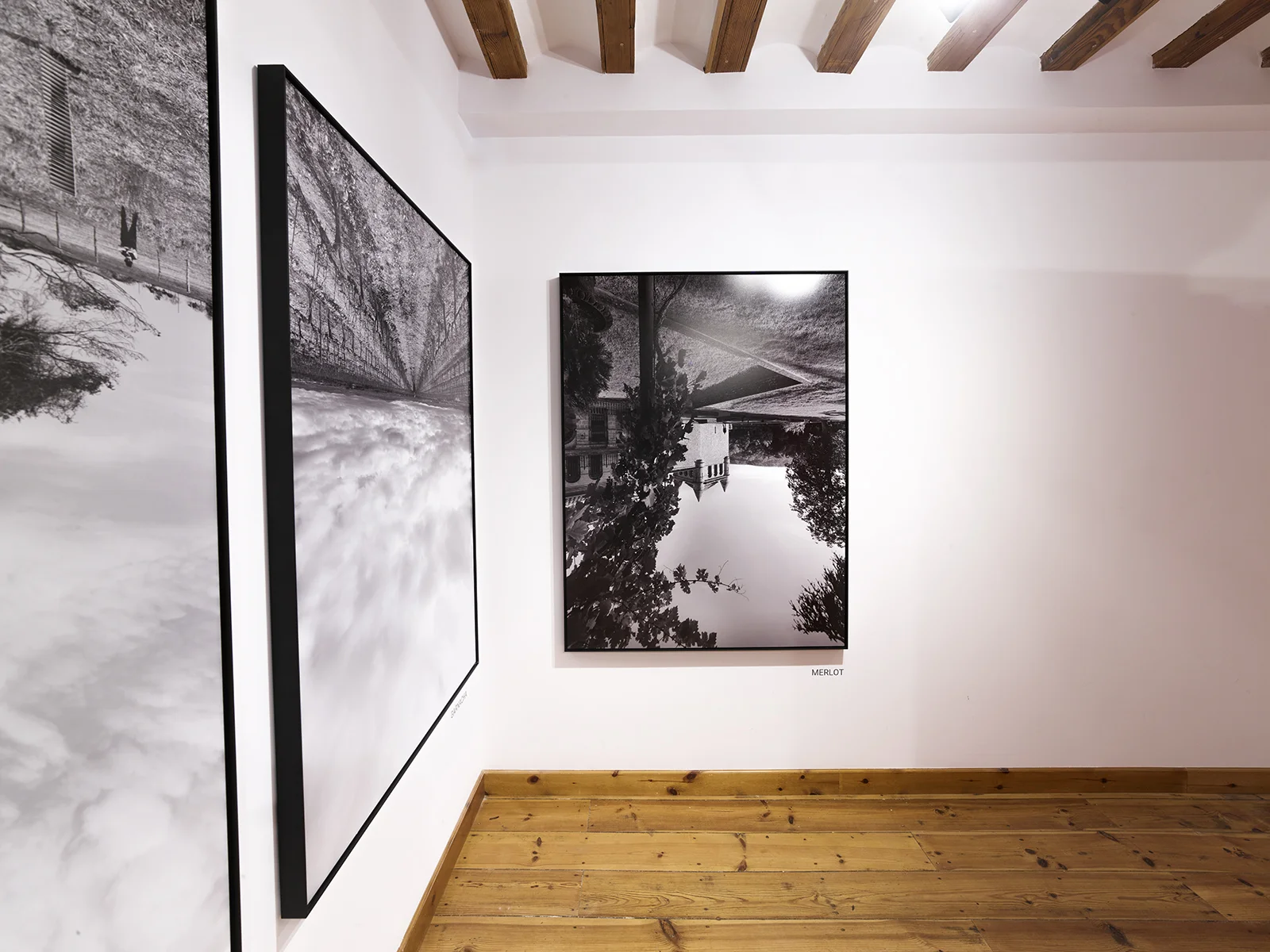 Fundación Bodega Otazu. Etxauri