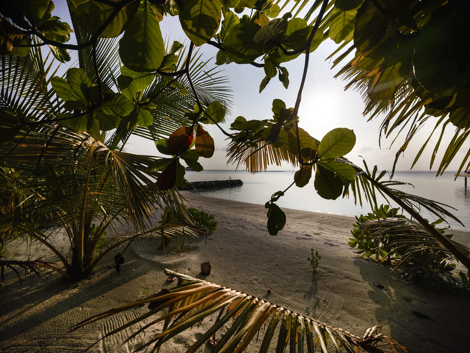 Falhumaafushi (MAL 6.1)