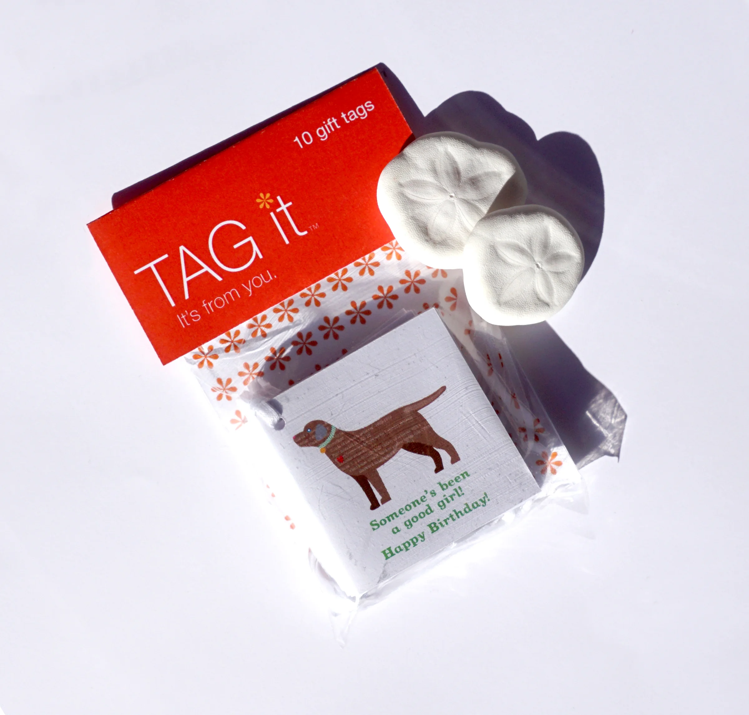 Gt.ChocolateLab.jpg