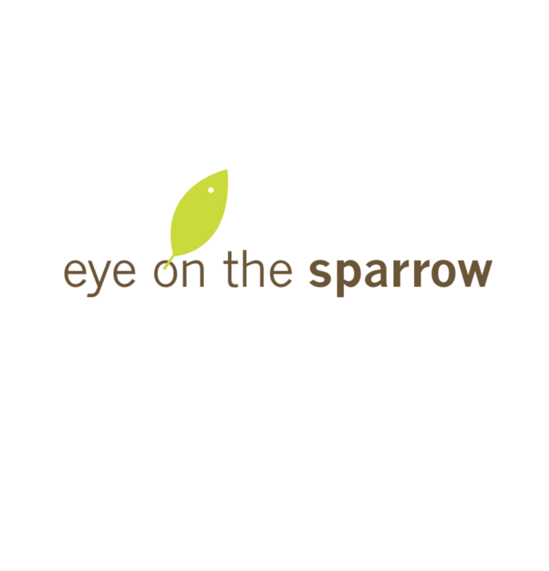 EyeonTheSparrow.png