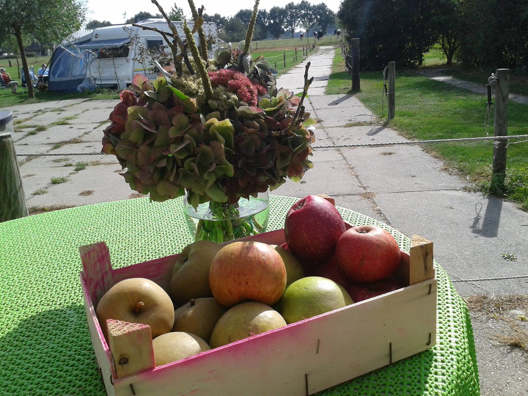 boerderijcamping-de-mebel-appels.jpg