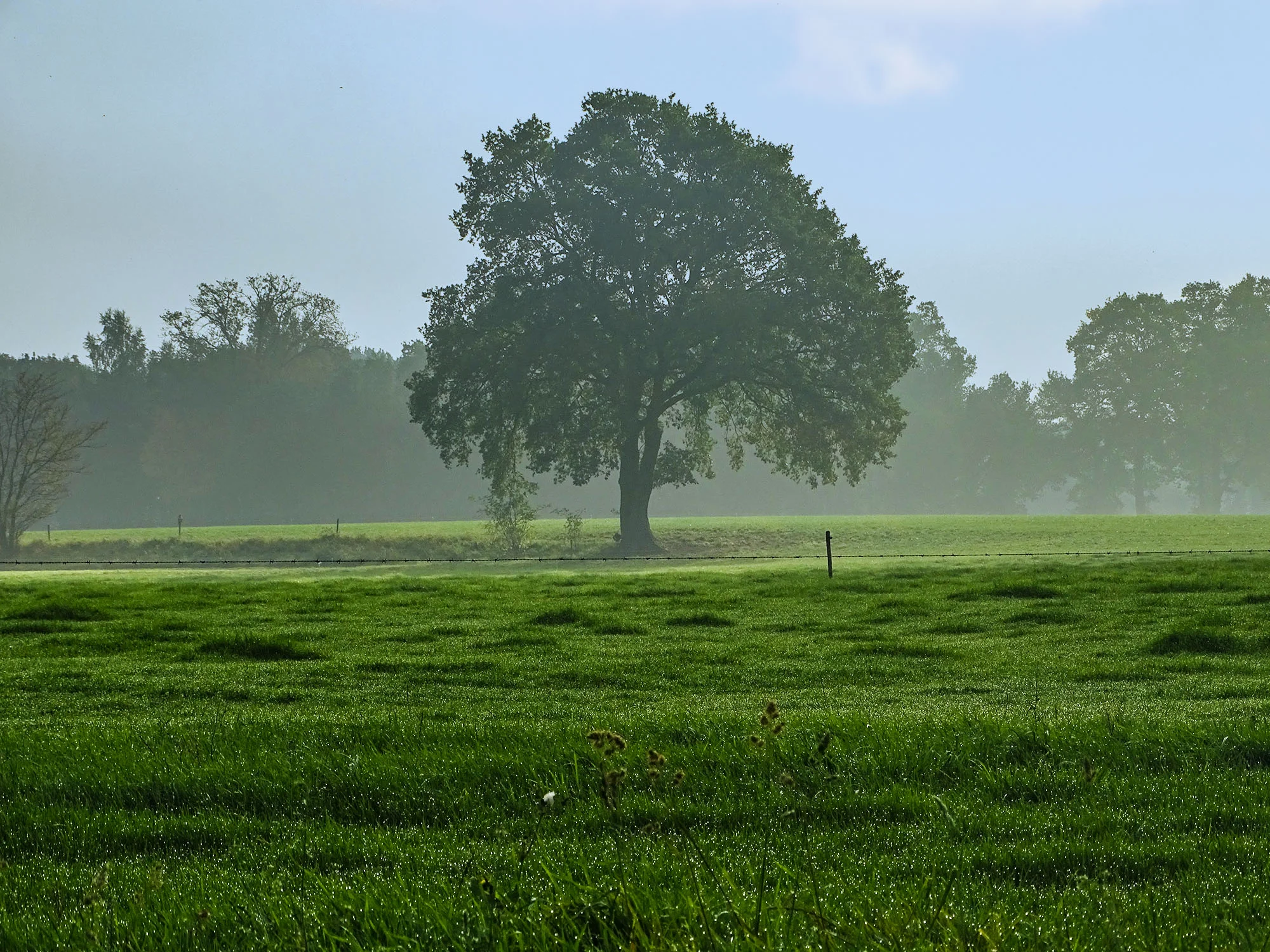 boerderijcamping-de-mebel-omgeving01.jpg