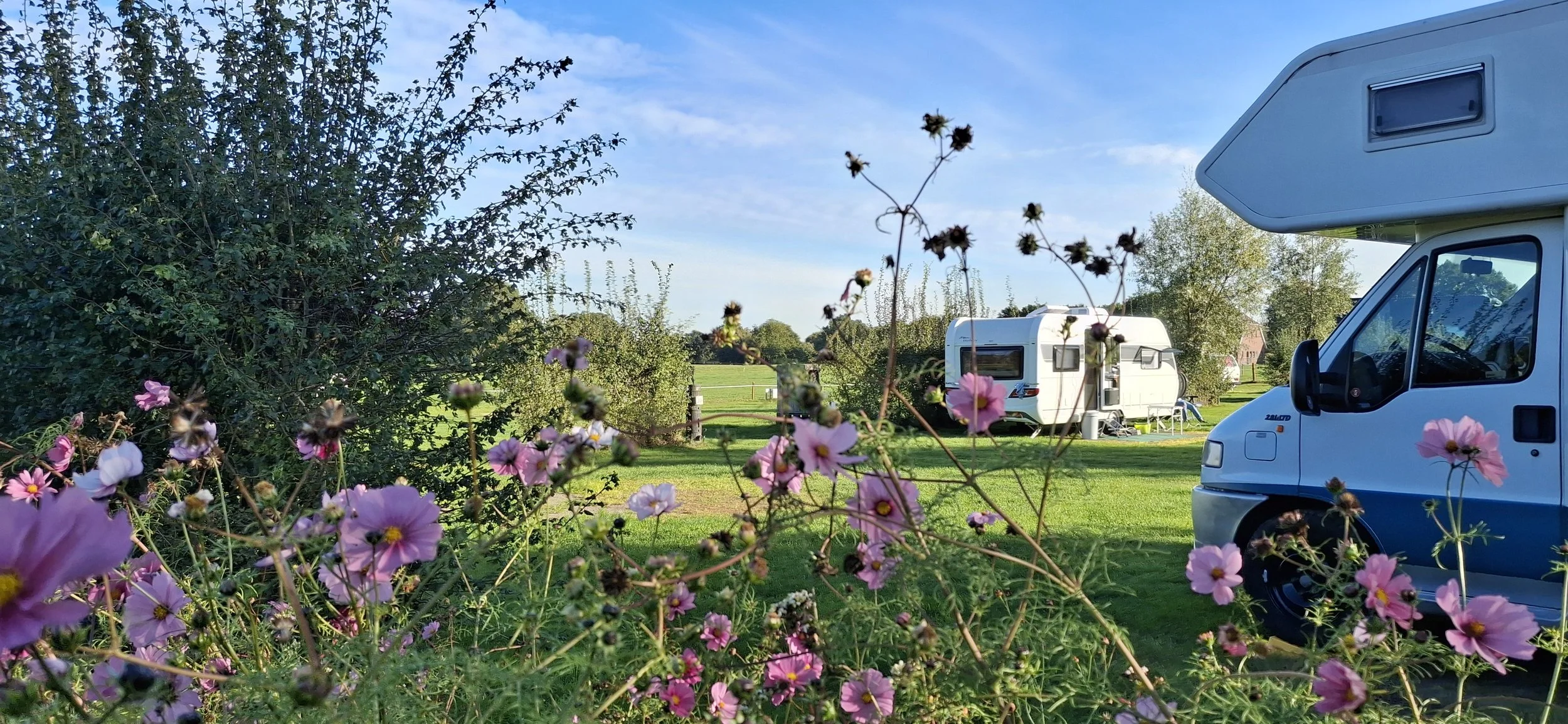 2en3eveld met bloemen.jpg