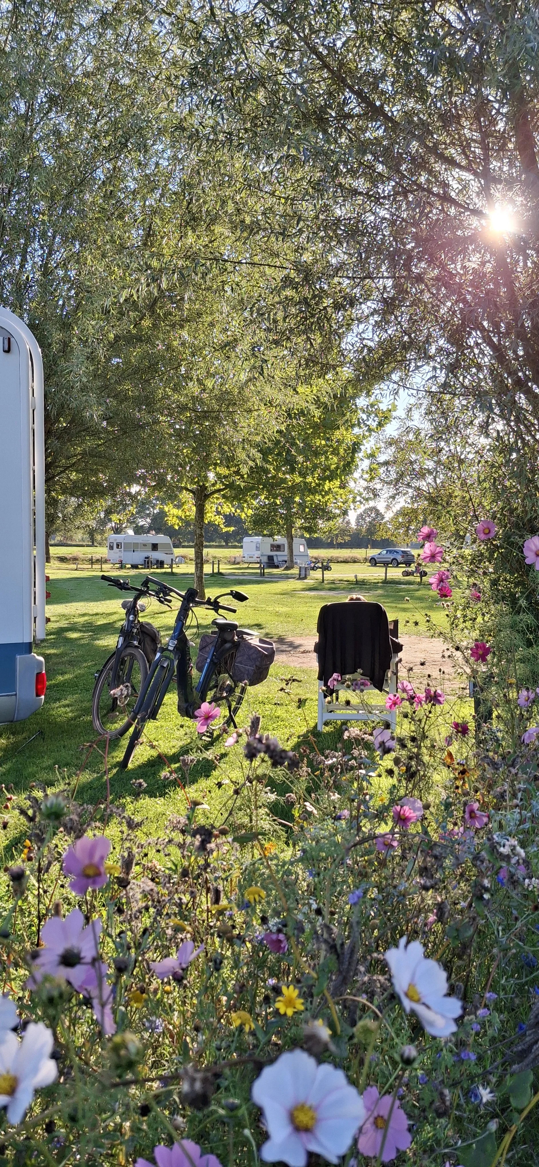 fietsenbloemencamper2eveld.jpg