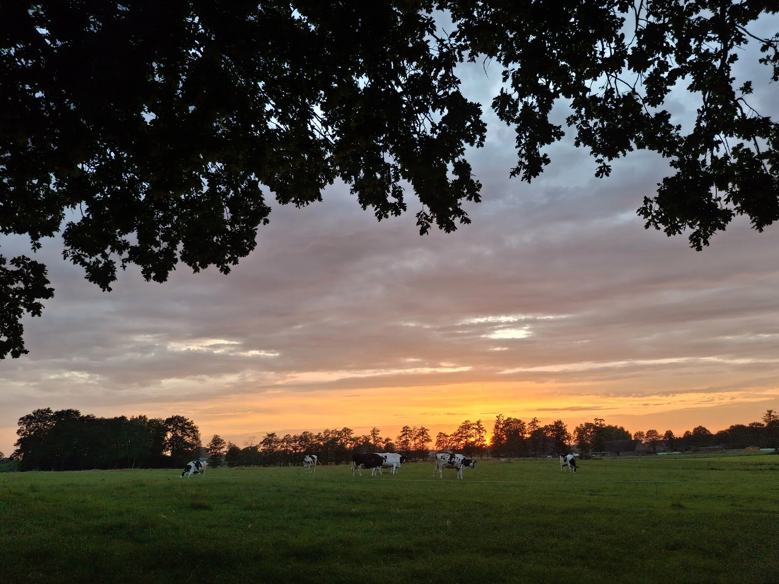 zonsondergang26.jpg
