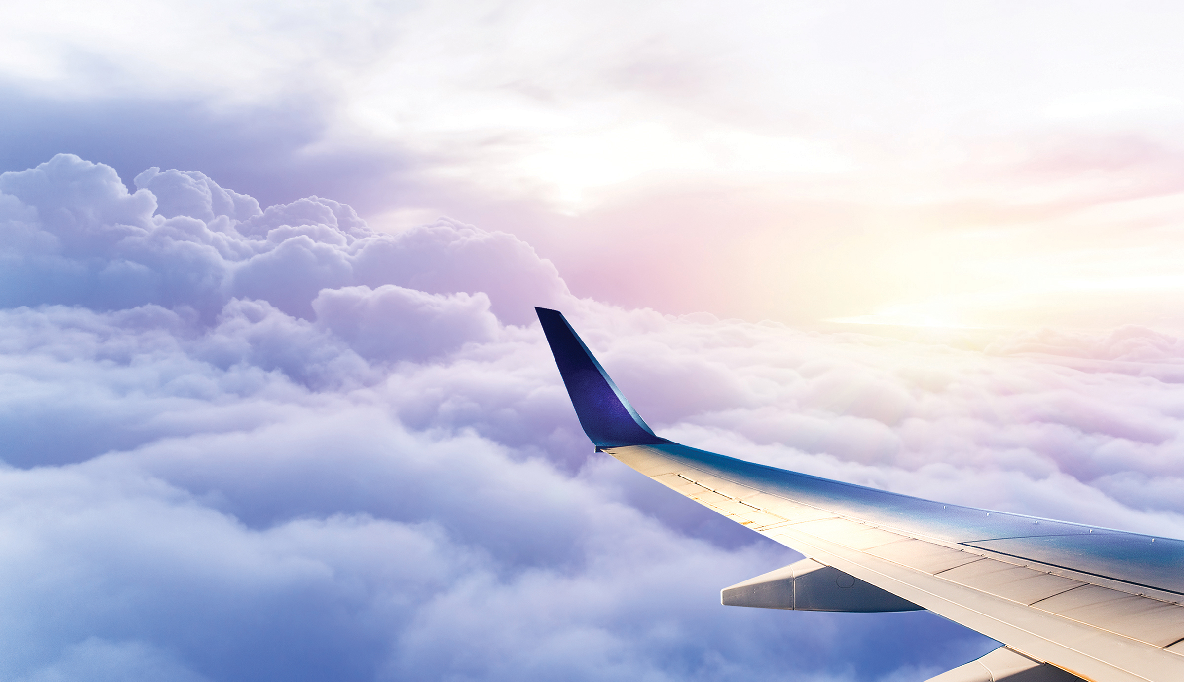 sky wing 8x15in_ 300dpi.jpg