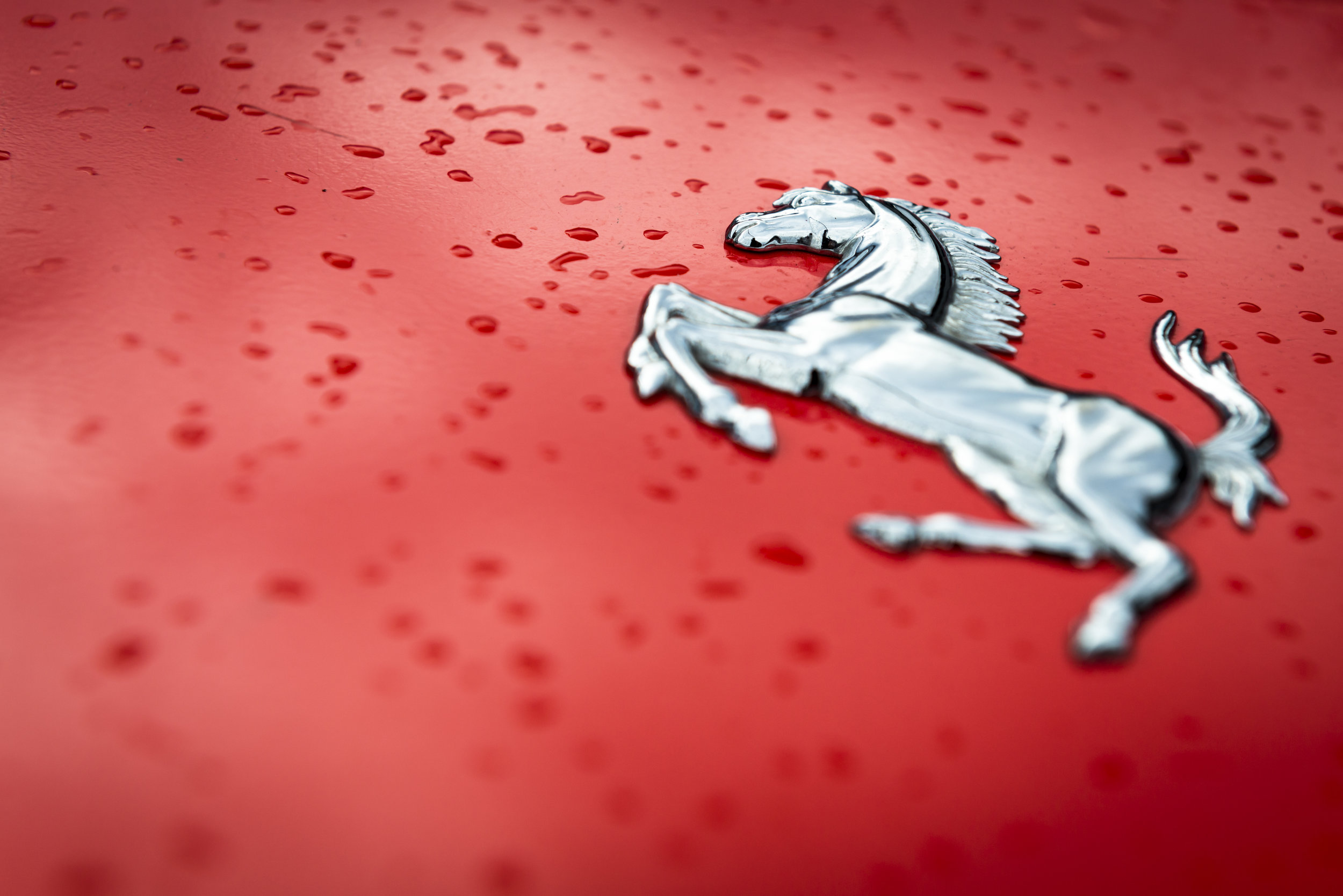 Ferrari Horse (1 of 1).jpg