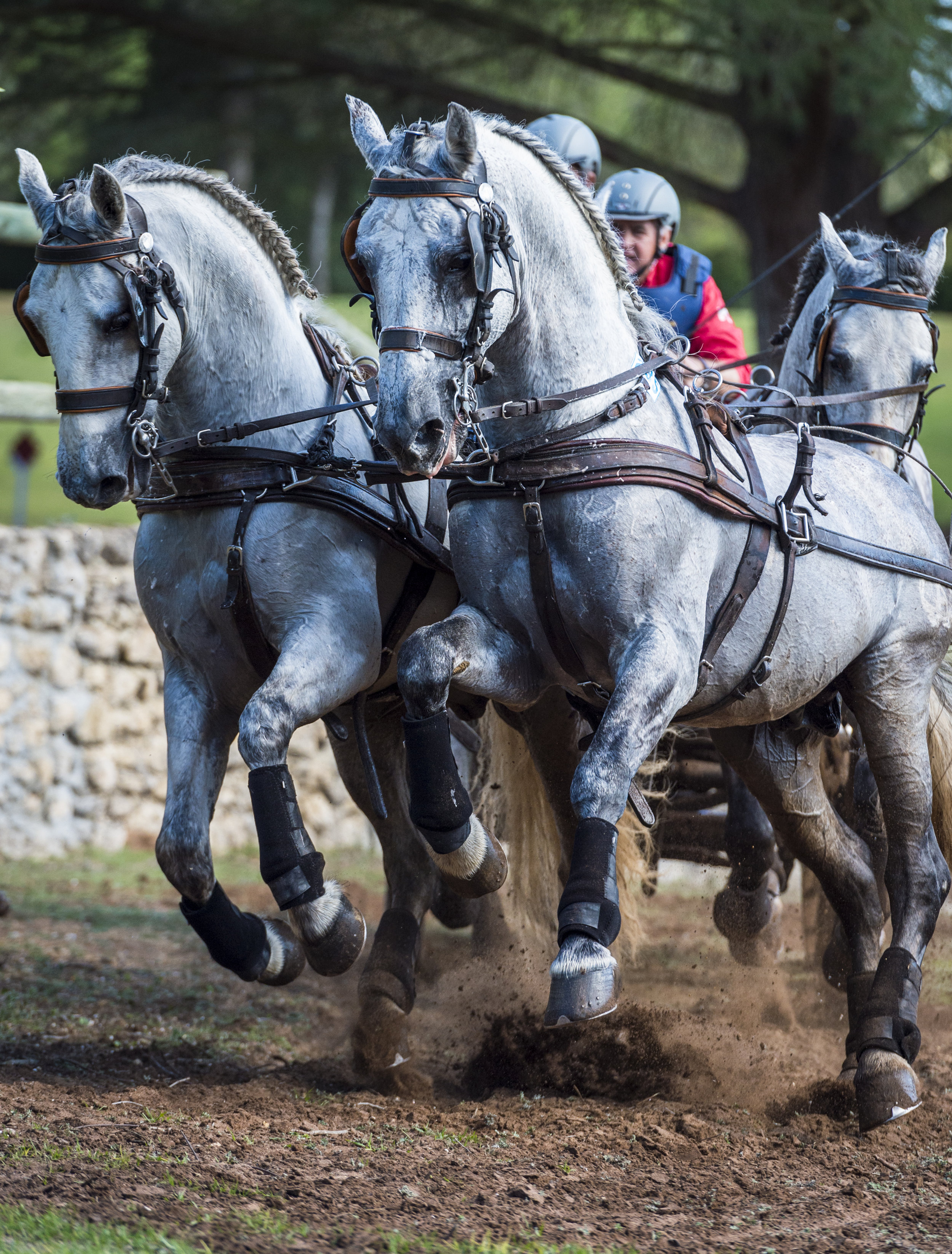 Sunshine Tour Driving 2014 NO WM (1 of 1)-7.jpg