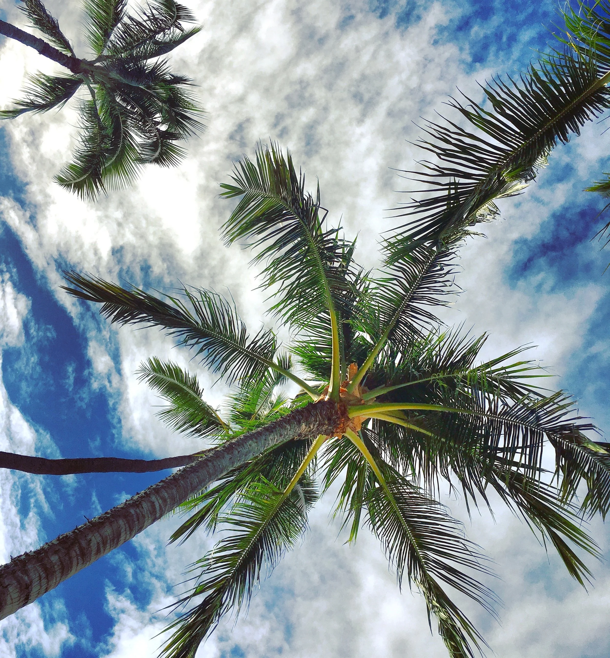 Honolulu Blues