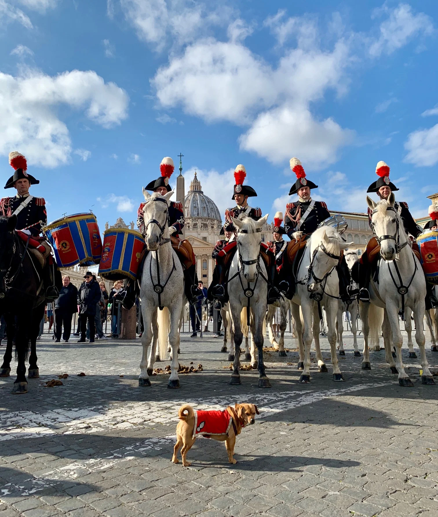 Animals blessed at Vatican — TravelAngel