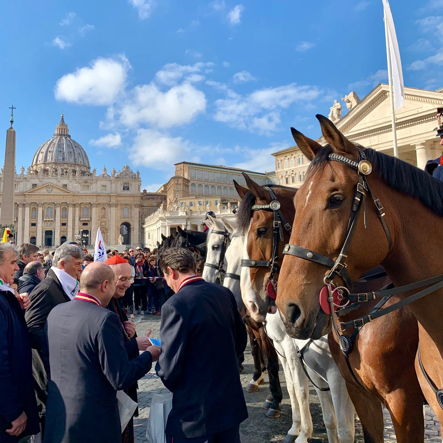 Animals blessed at Vatican — TravelAngel
