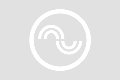 SUBSINE LOGO.png