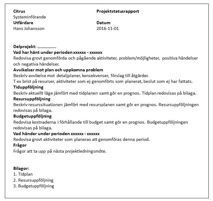 Projektstatusrapport.jpg