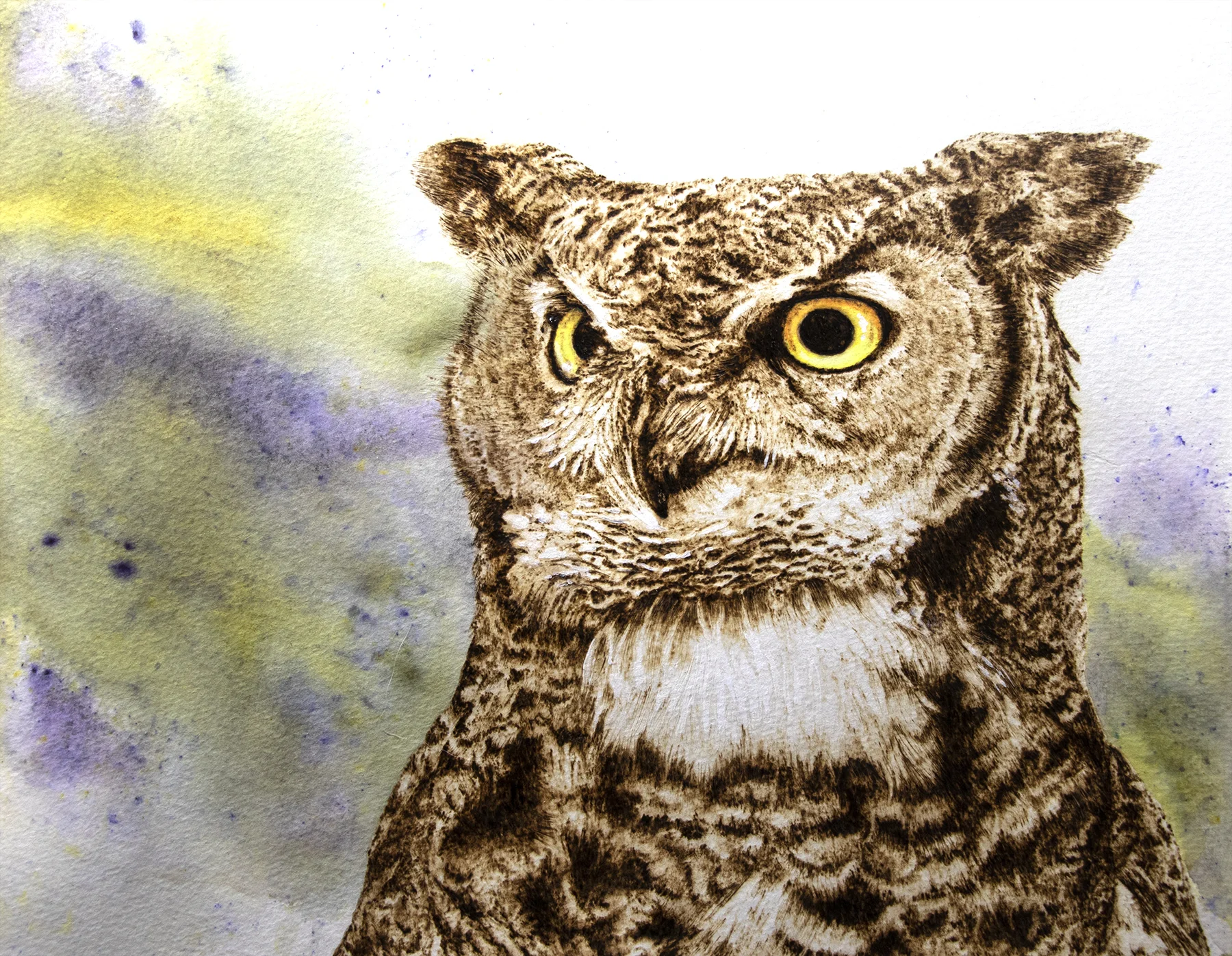 Owl ValarieConnell.jpg