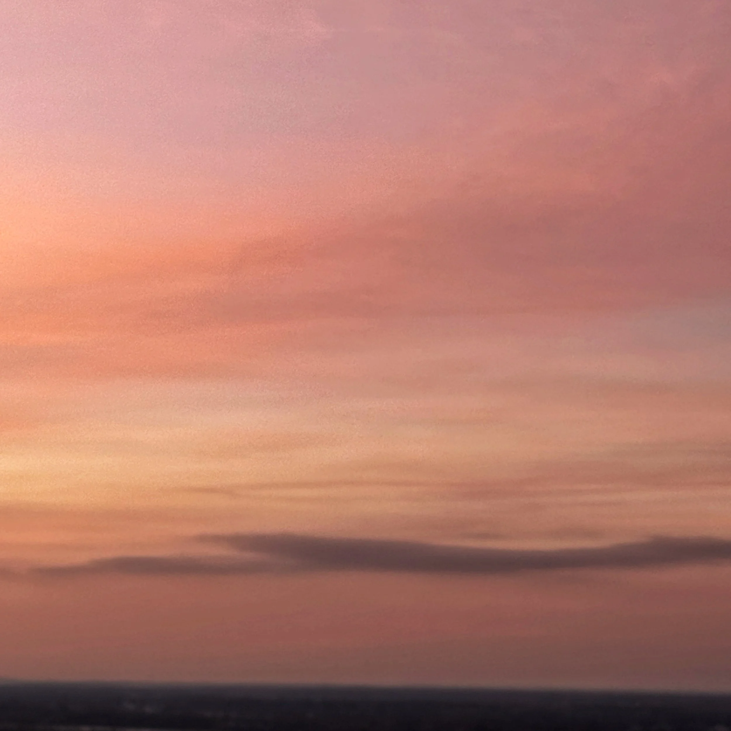 MAiD Dispatches: Everything and Nothing