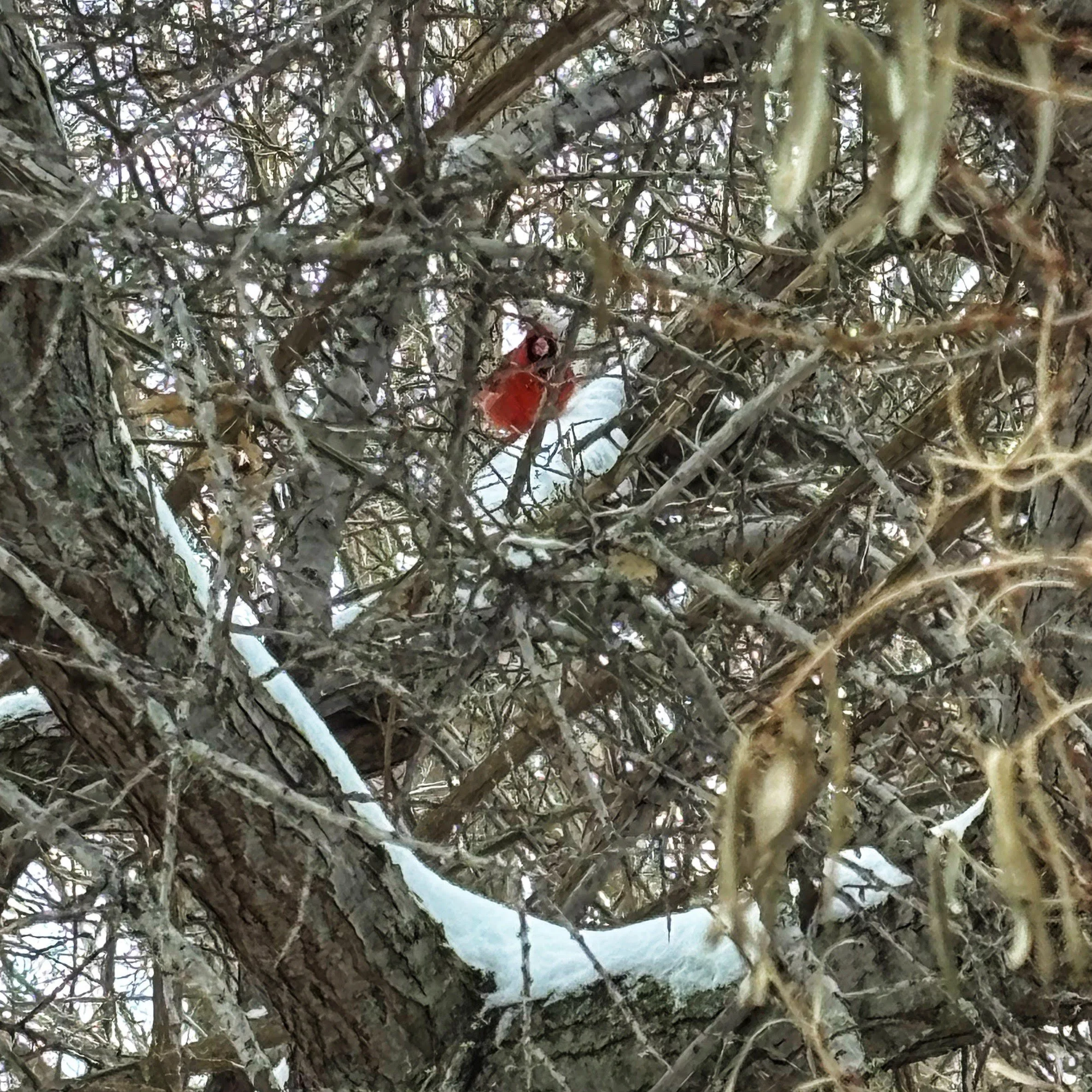 MAiD Dispatches: One Year Later