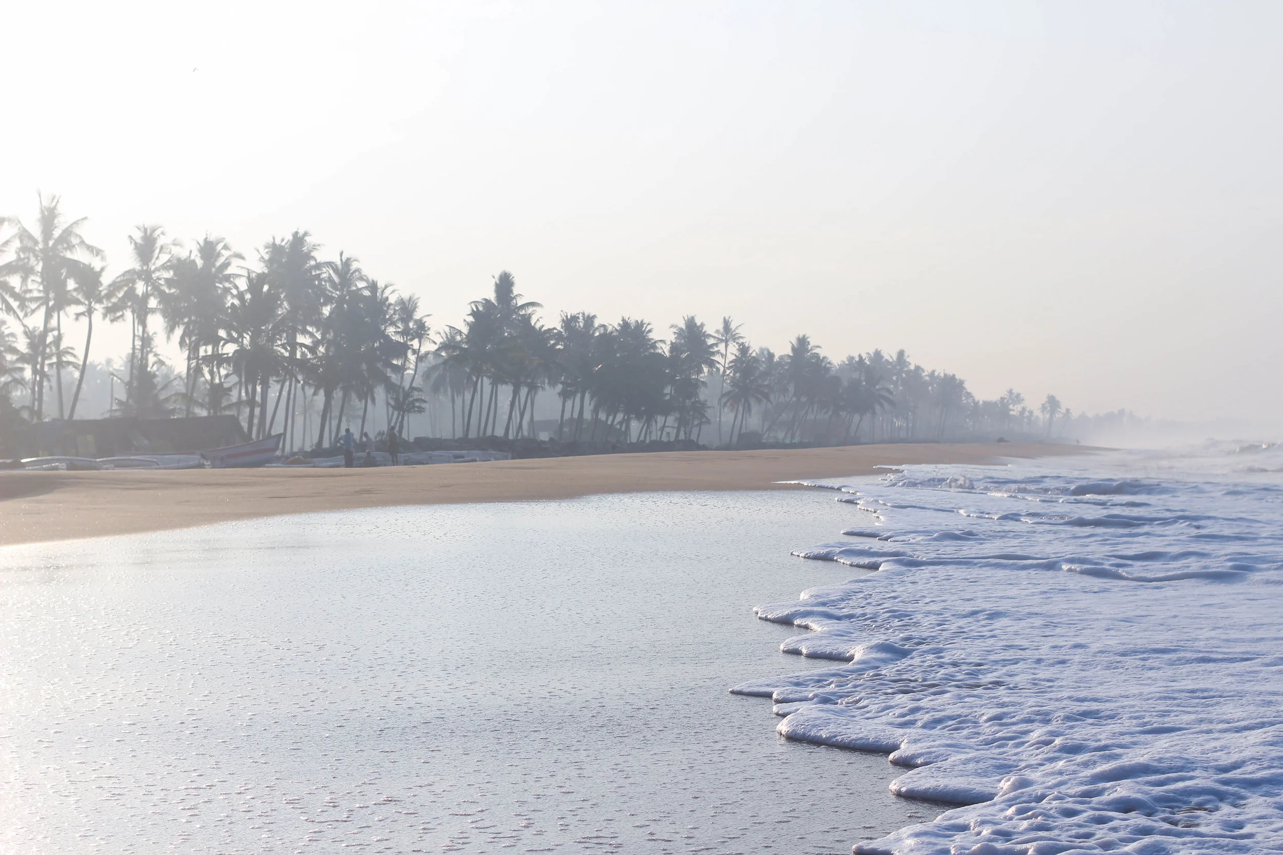 20180209-IMG_3384_India.jpg