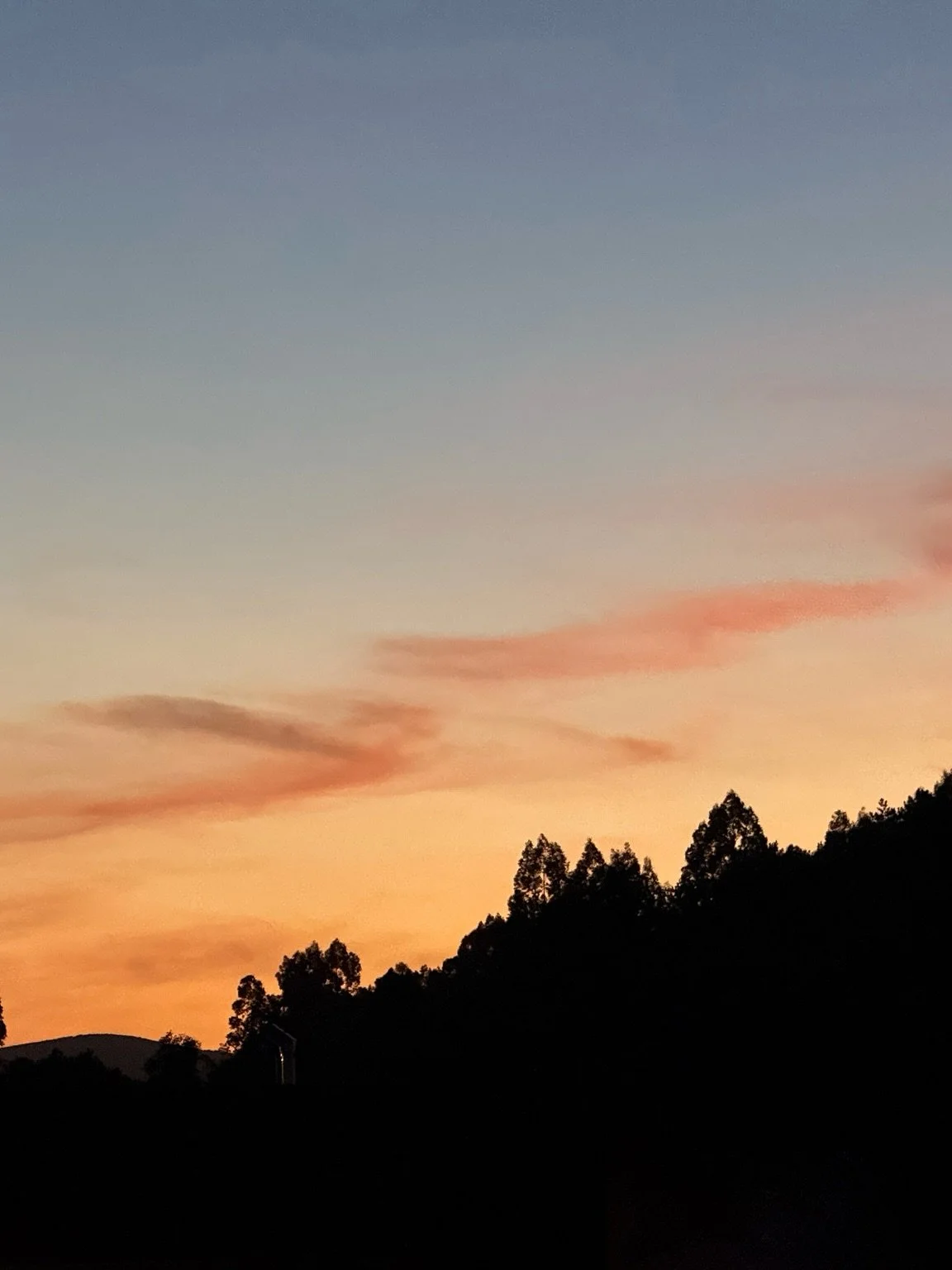 Some Camino de Santiago nature&rsquo;y (ish) moments&hellip; ⛅️🌊🌙🌴

I packed crazy light (in my eyes!) for this hike&hellip; my backpack was 5kg, &amp; at the last min I decided not to bring a camera! 😬. Partly cos I was worried about weight &amp