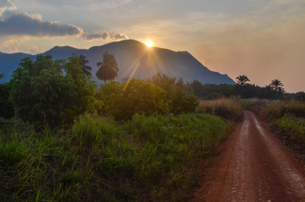 Cameroon-Wallpaper-1080p-1024x678.jpg