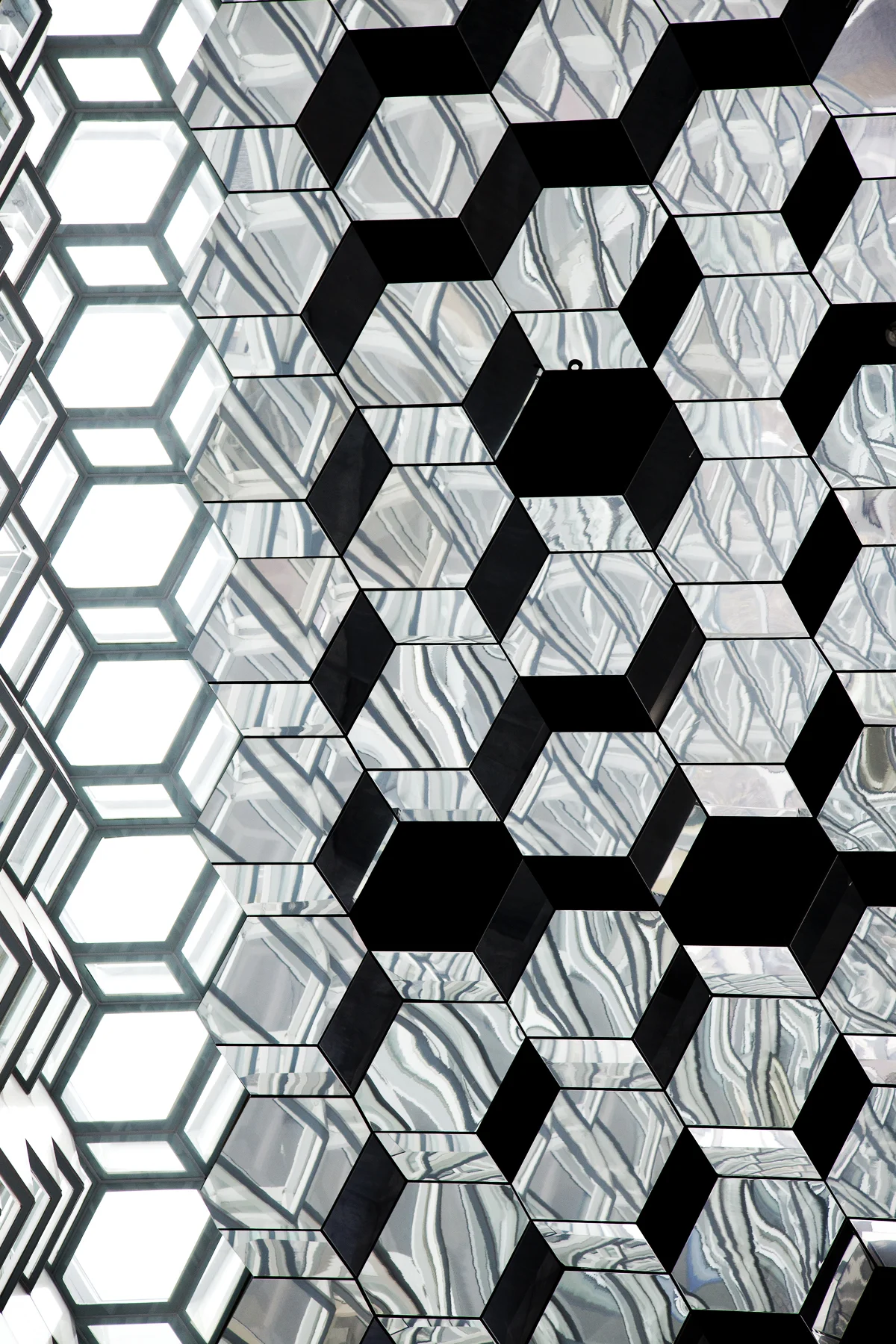 Honeycomb Micheal.jpg