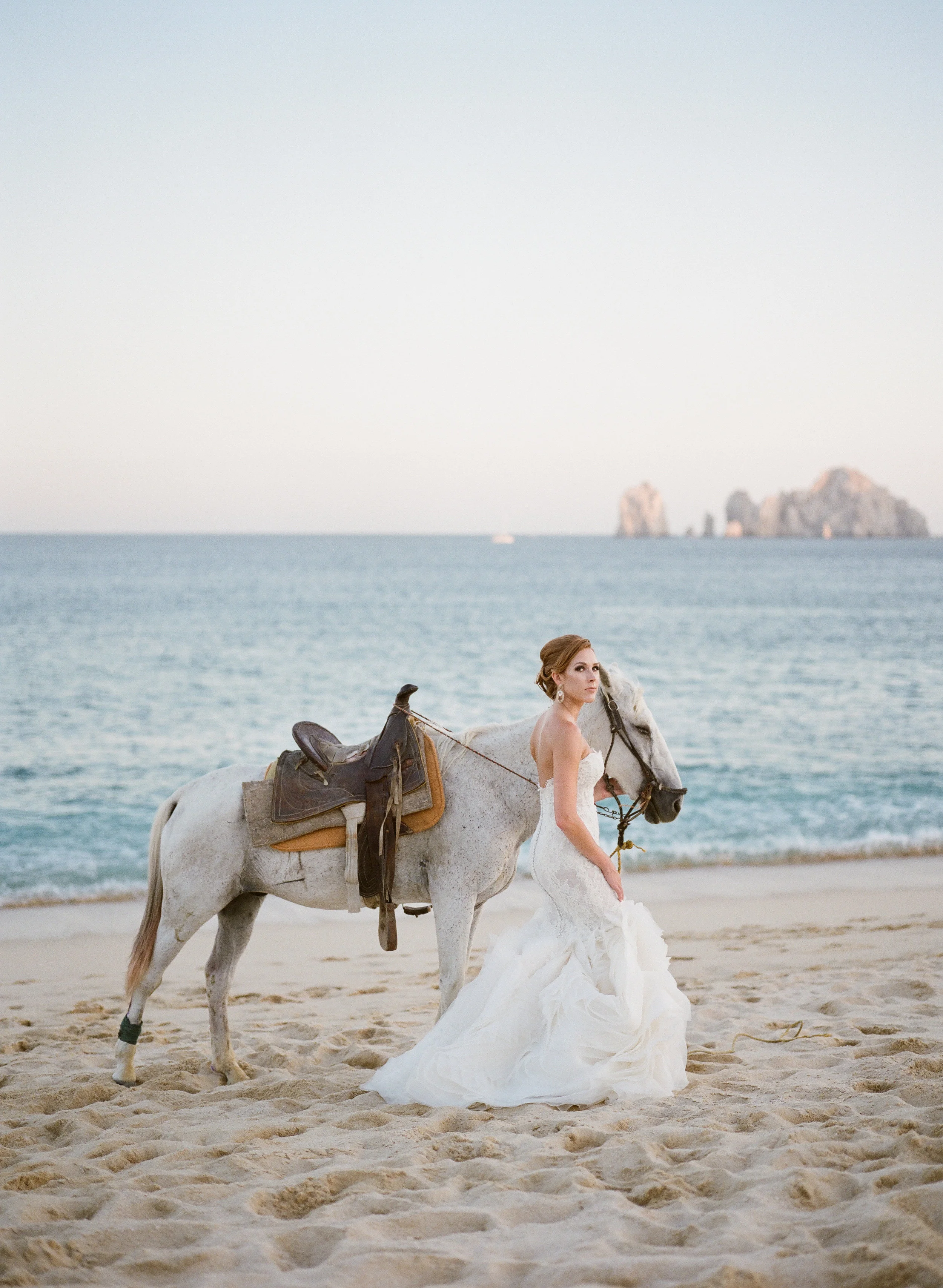 horse pic.jpg