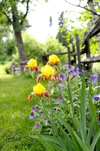 gardens 1.jpg