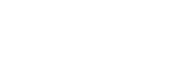 what-we-do.png