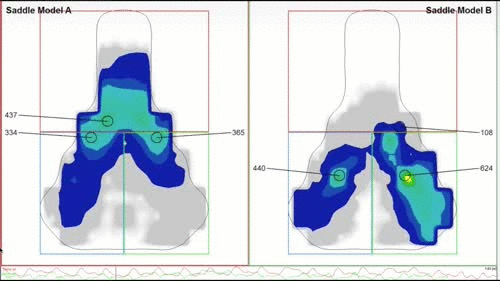 saddle pressure gif.gif