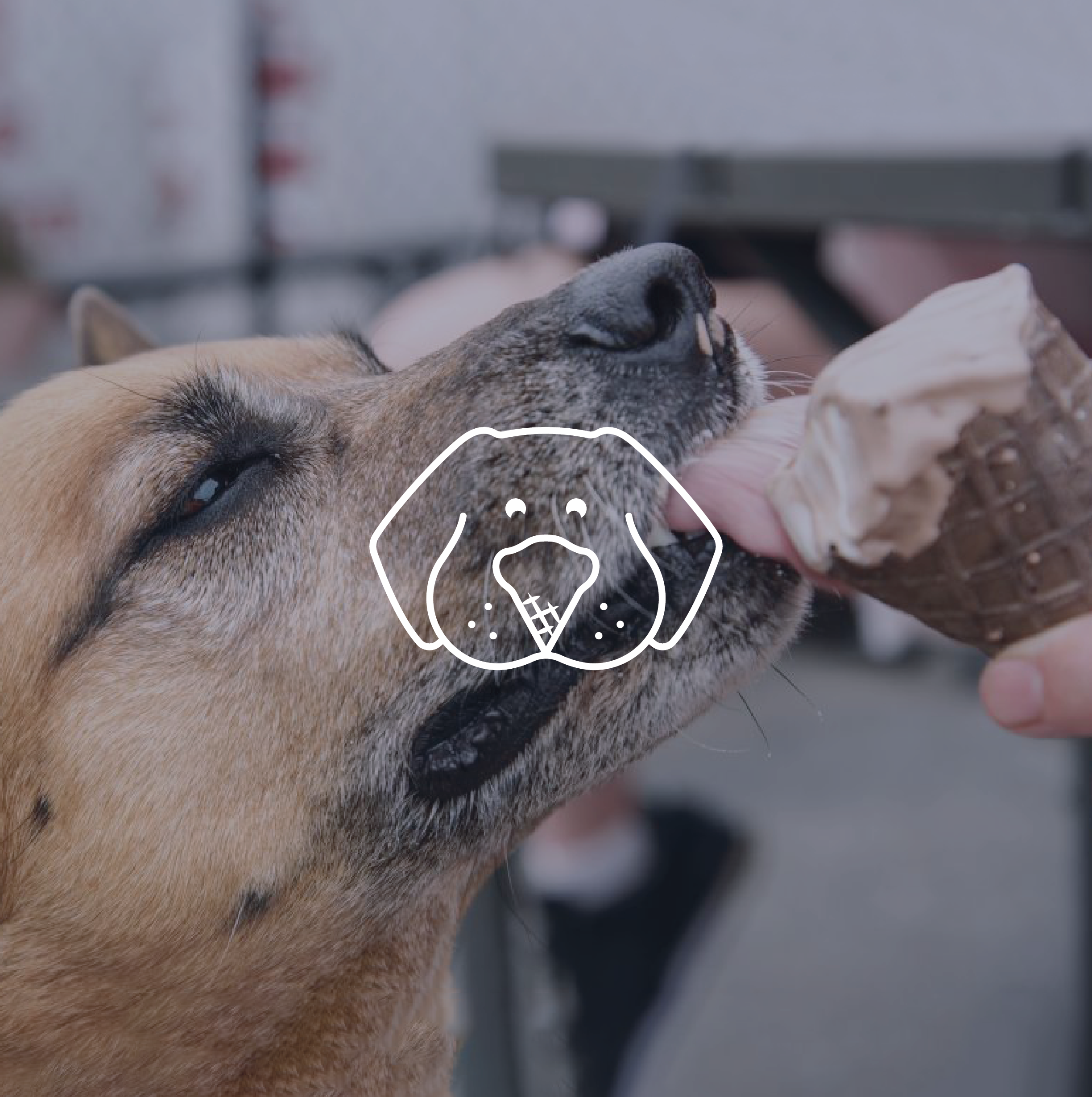 2021 WebPicLayouts_Lucky Dog.png