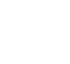 logolille2.png