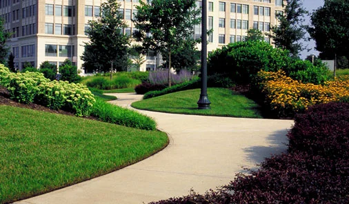 commercial landscape image rrs.jpg