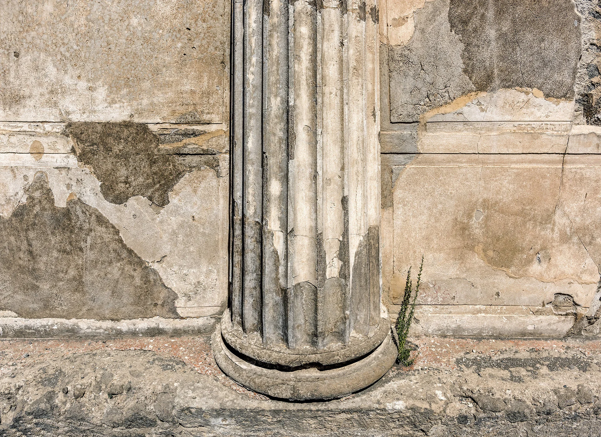 An Idea of Order Images — St. Louis Artists' Guild