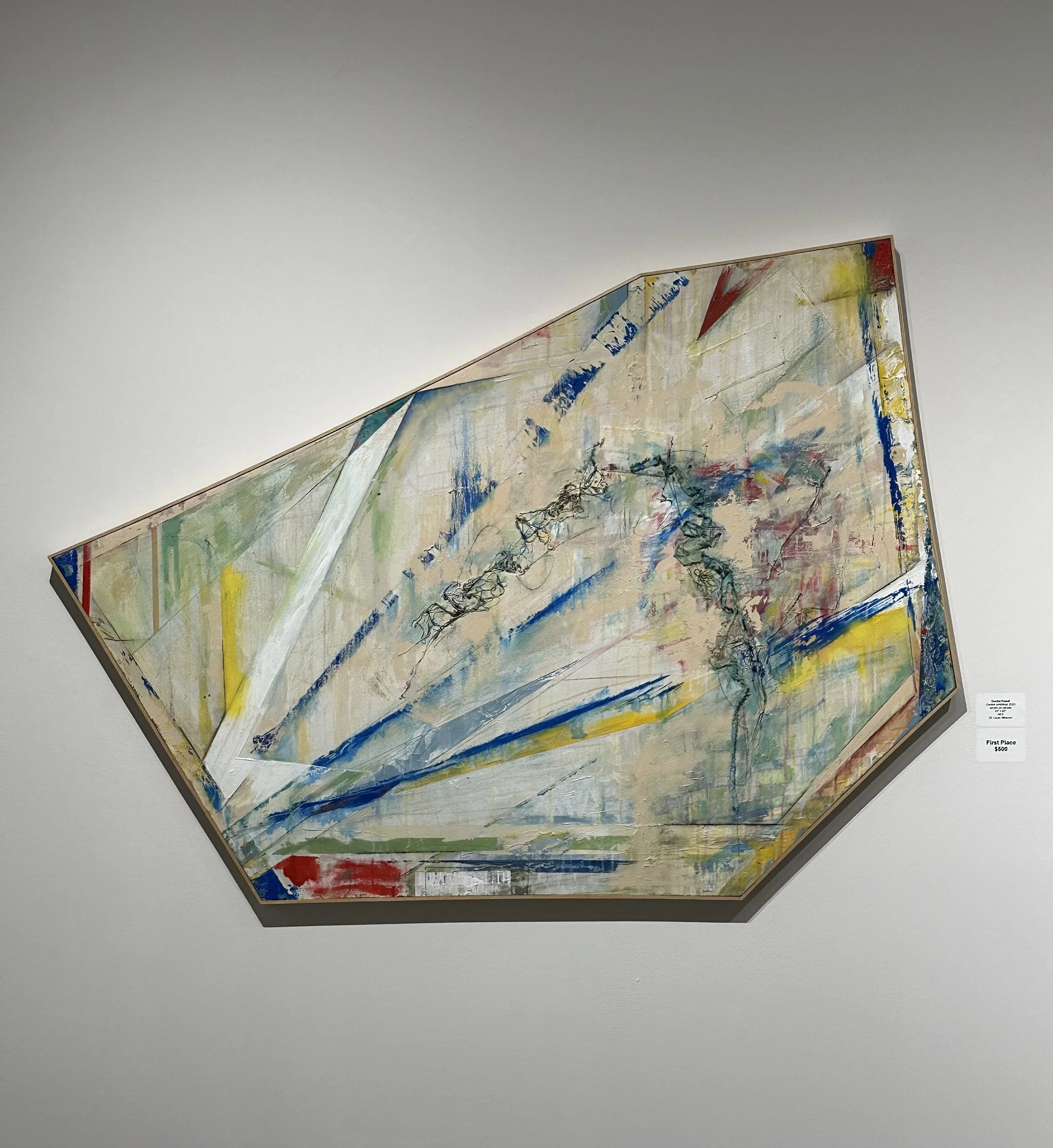 Cecilia Prandi - First Place Winner in Visions of Form and Space
