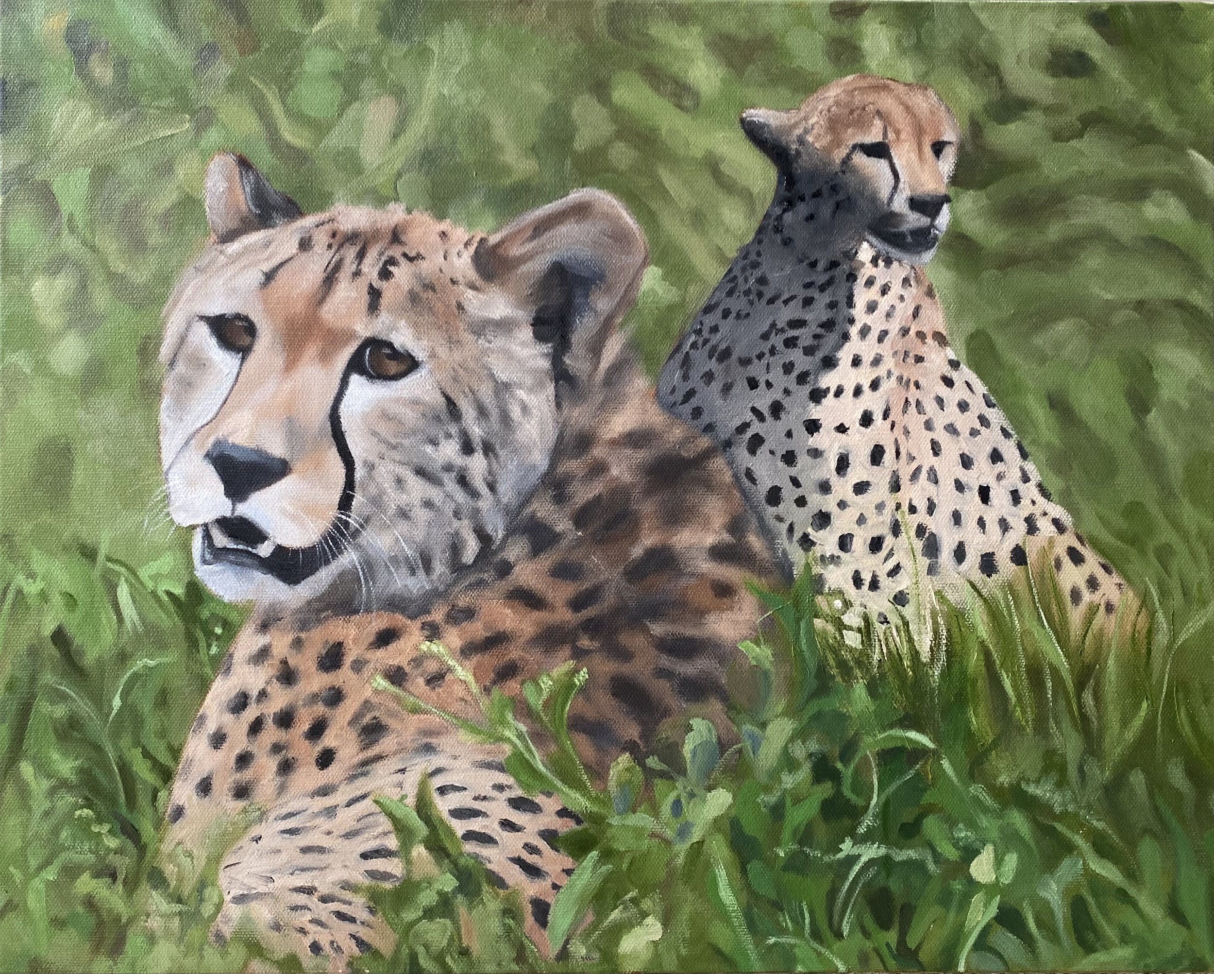 Jacqueline Hu - Two Cheetahs