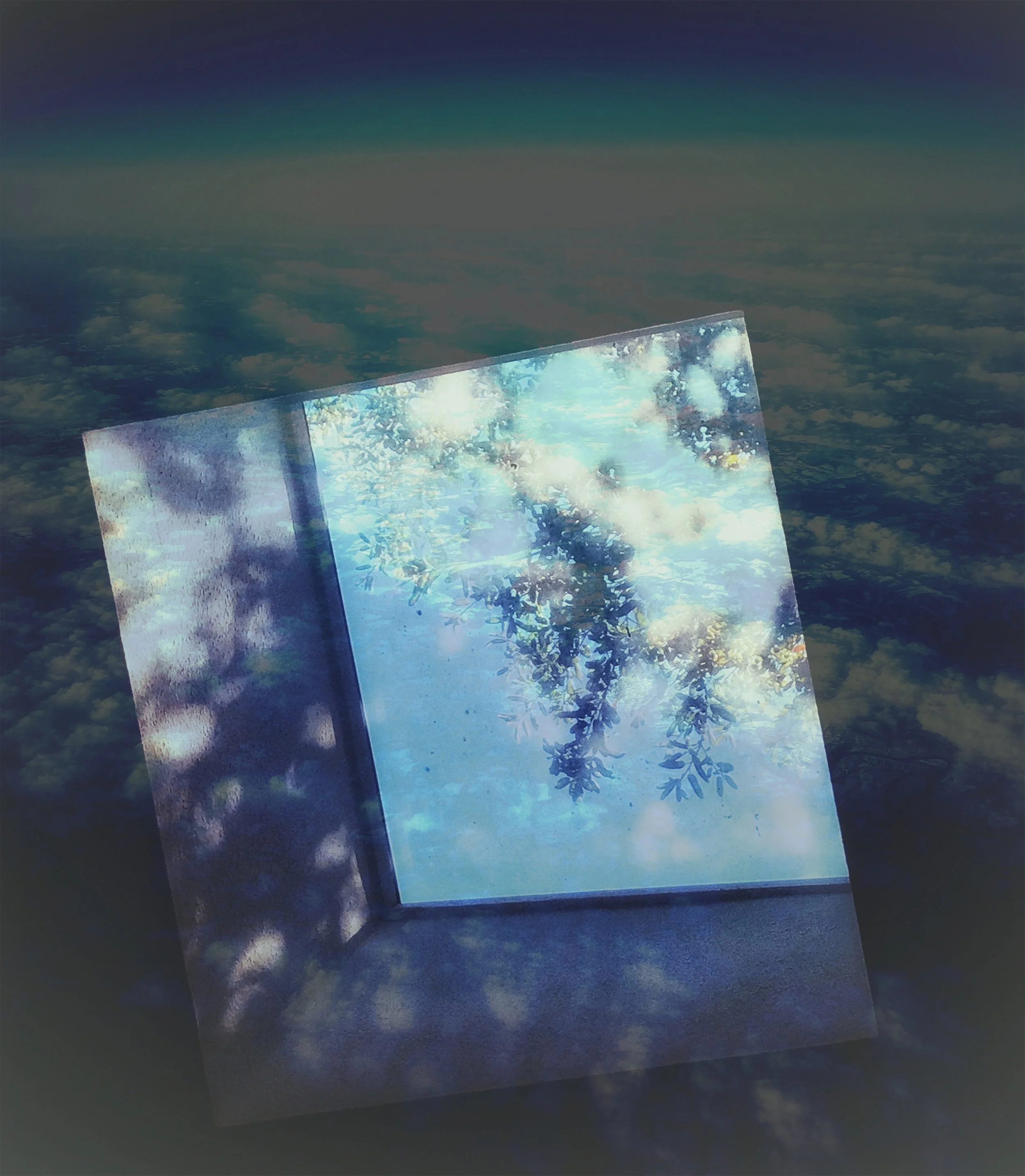 Erin Schalk - Portal