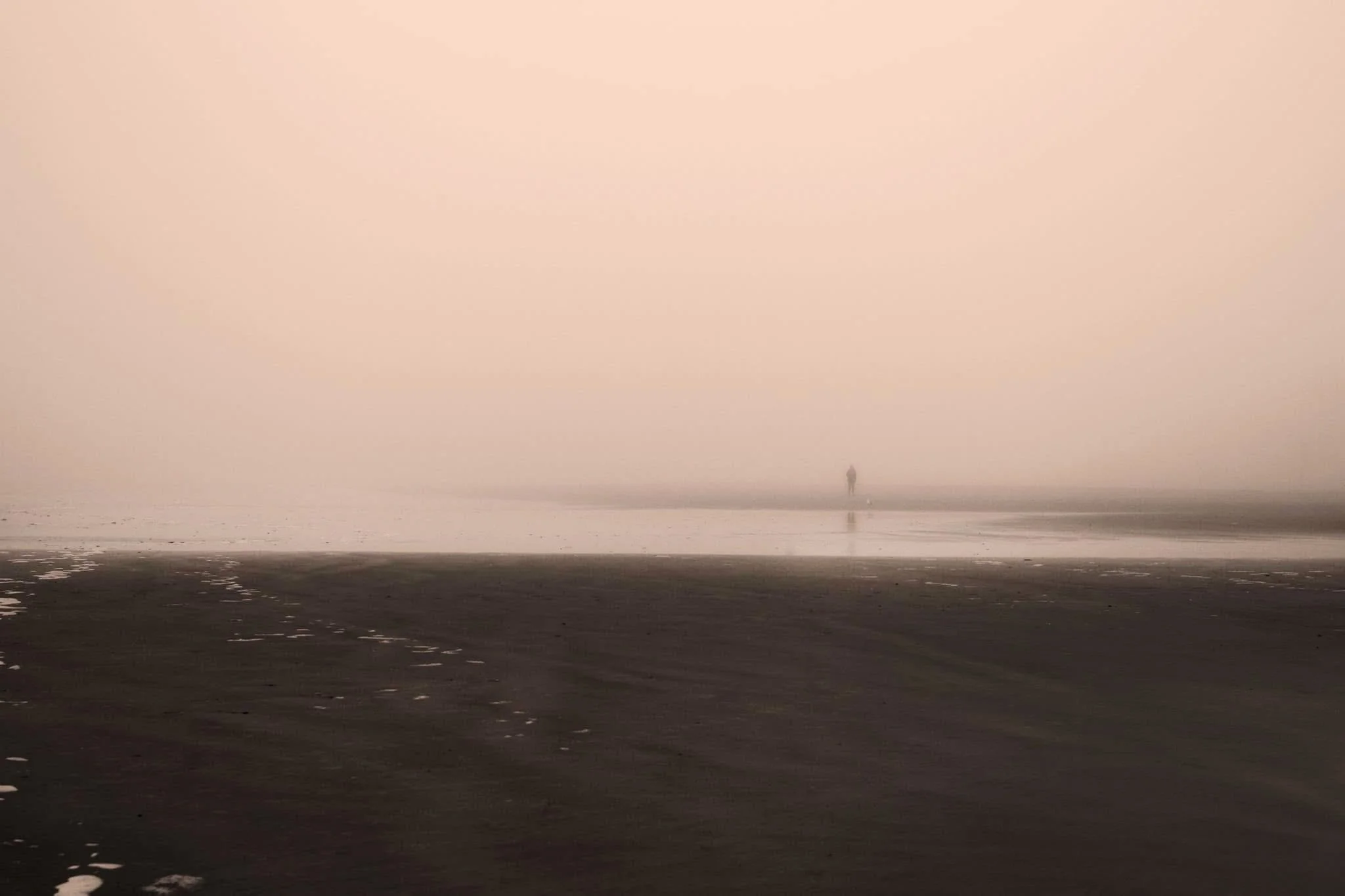 Leah Golembeski - The Ebb Tide