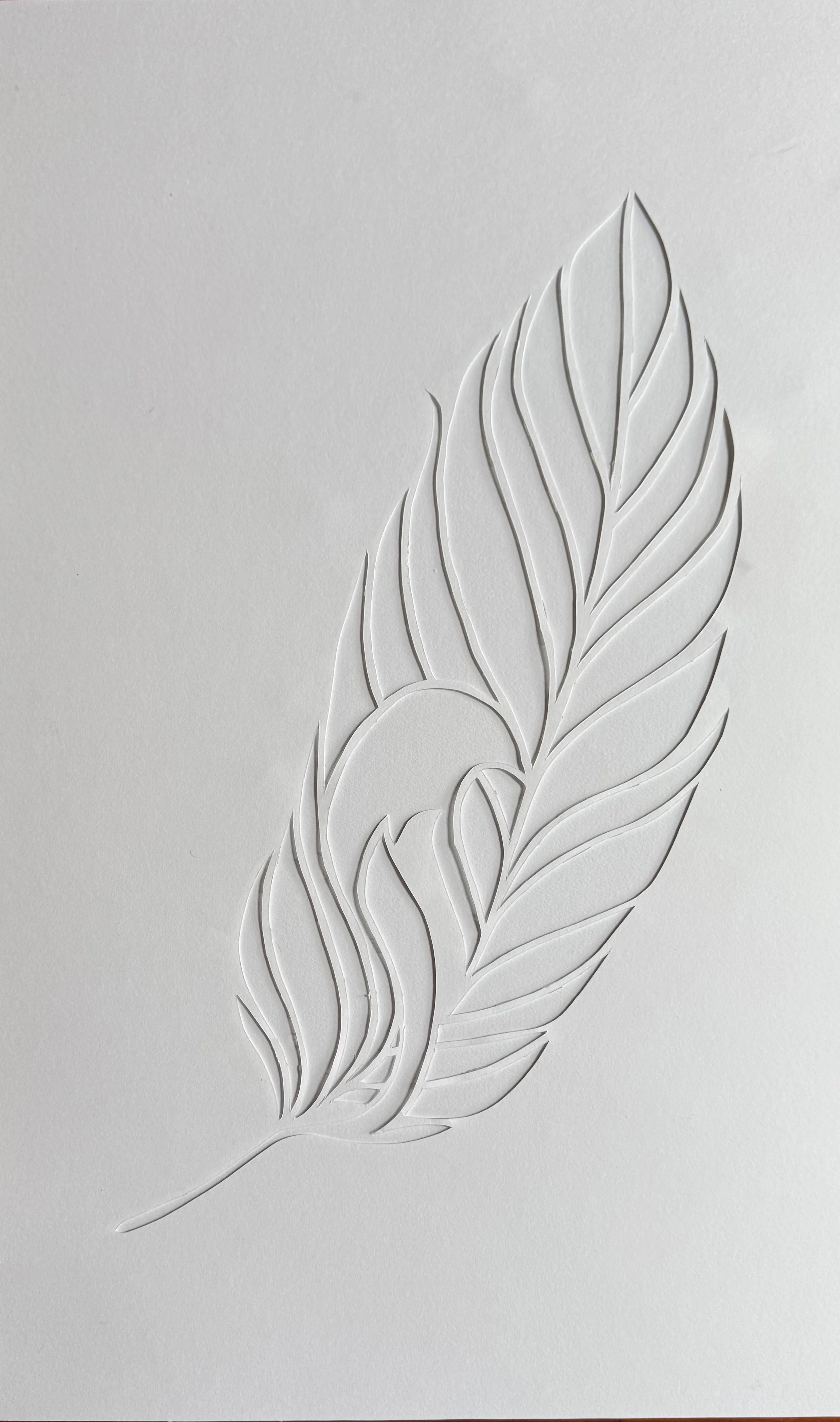 Yvonne Brazel - Feather