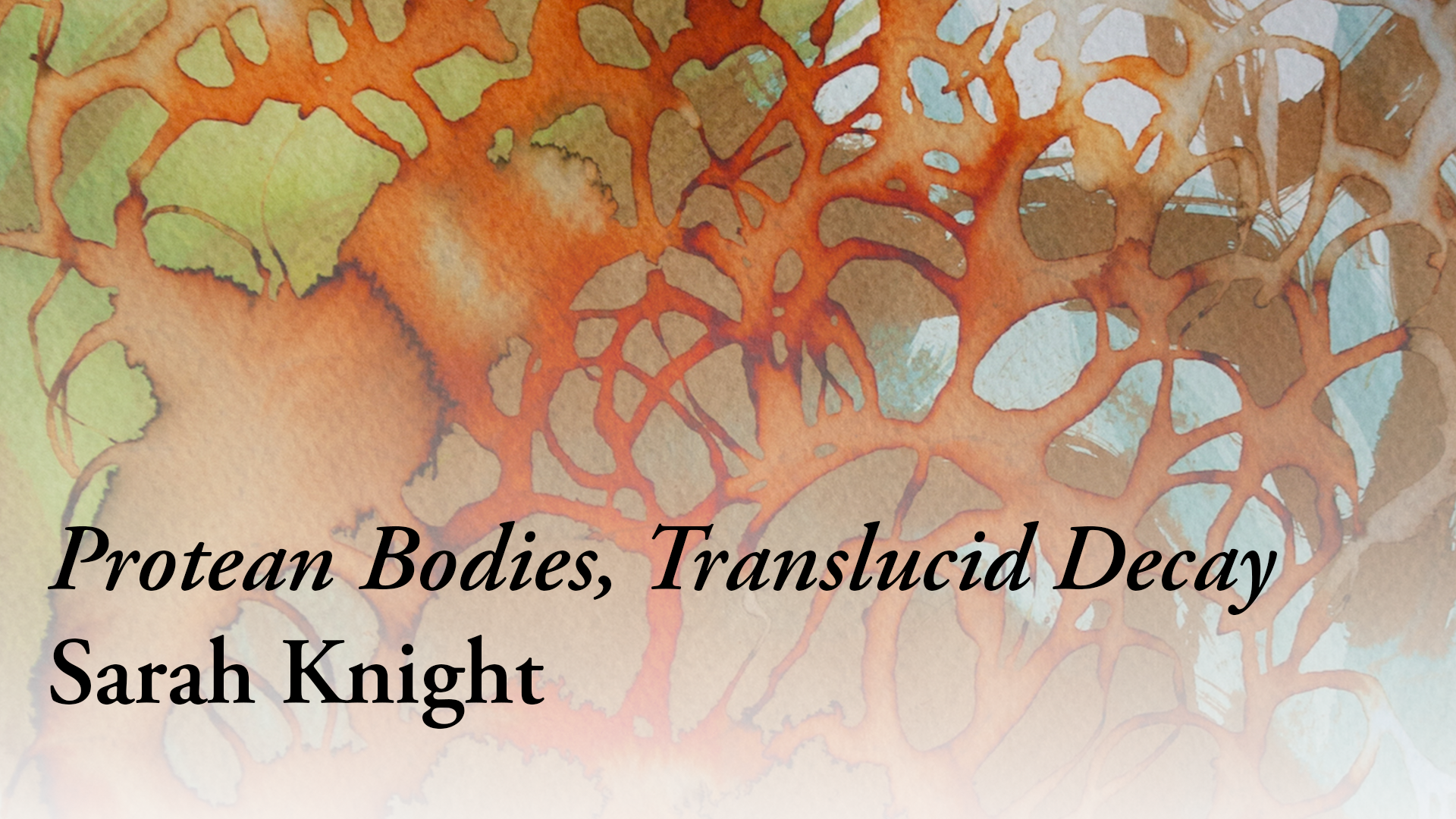 sknight_banner.png