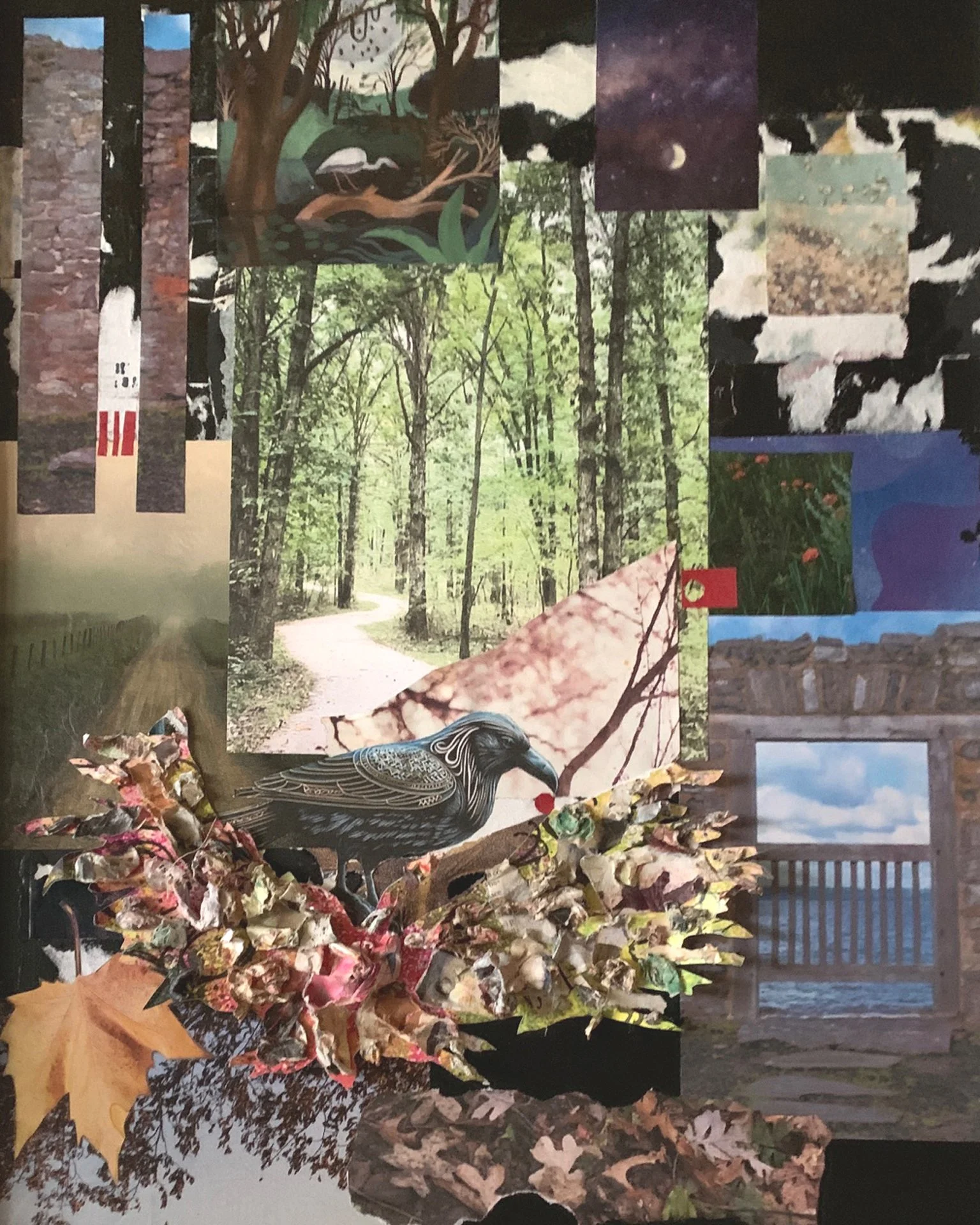 Gaye Gambell-Peterson - I Follow the Raven