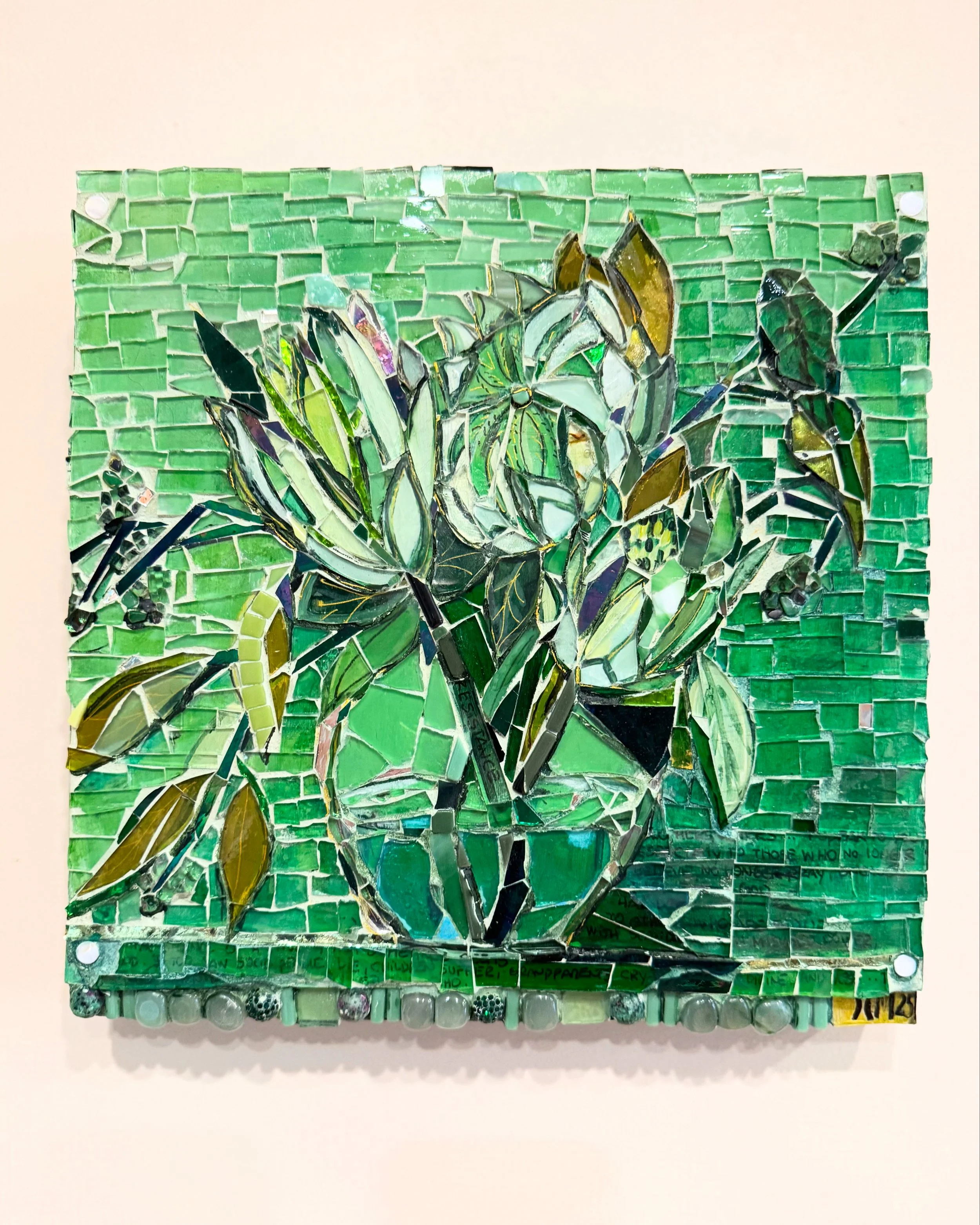 Jacqueline Claudet Mitterer - Speak Up Proteas
